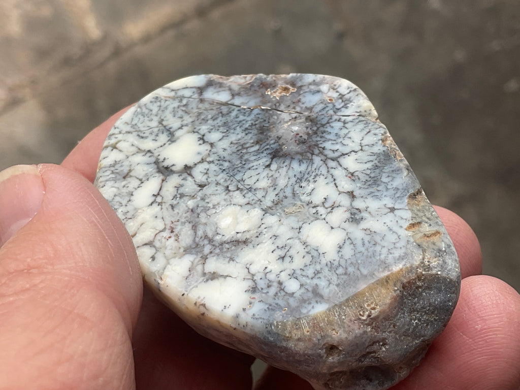 48g Australian Dendritic Common Opal Polished Piece A