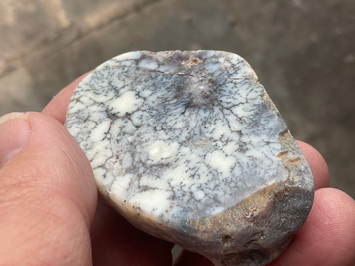48g Australian Dendritic Common Opal Polished Piece A