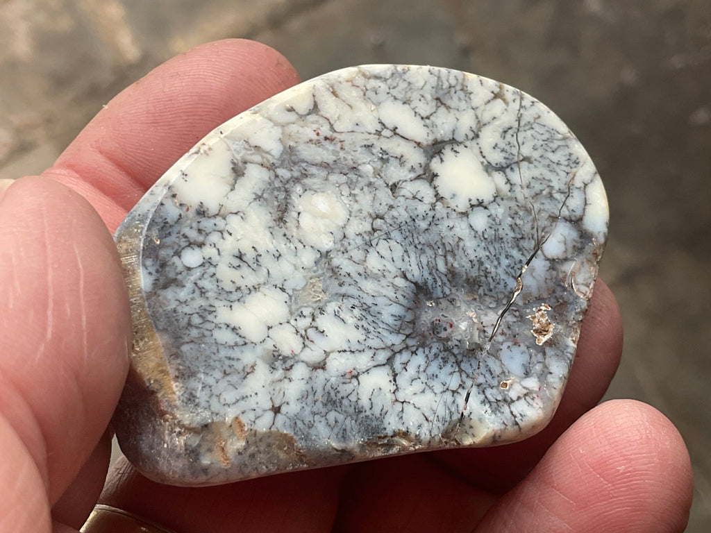 48g Australian Dendritic Common Opal Polished Piece A
