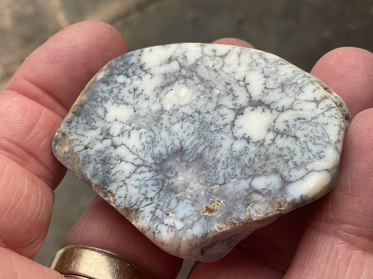 48g Australian Dendritic Common Opal Polished Piece A