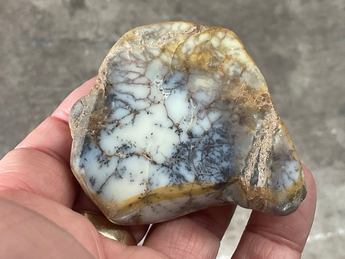 72g Australian Dendritic Common Opal Polished Piece B
