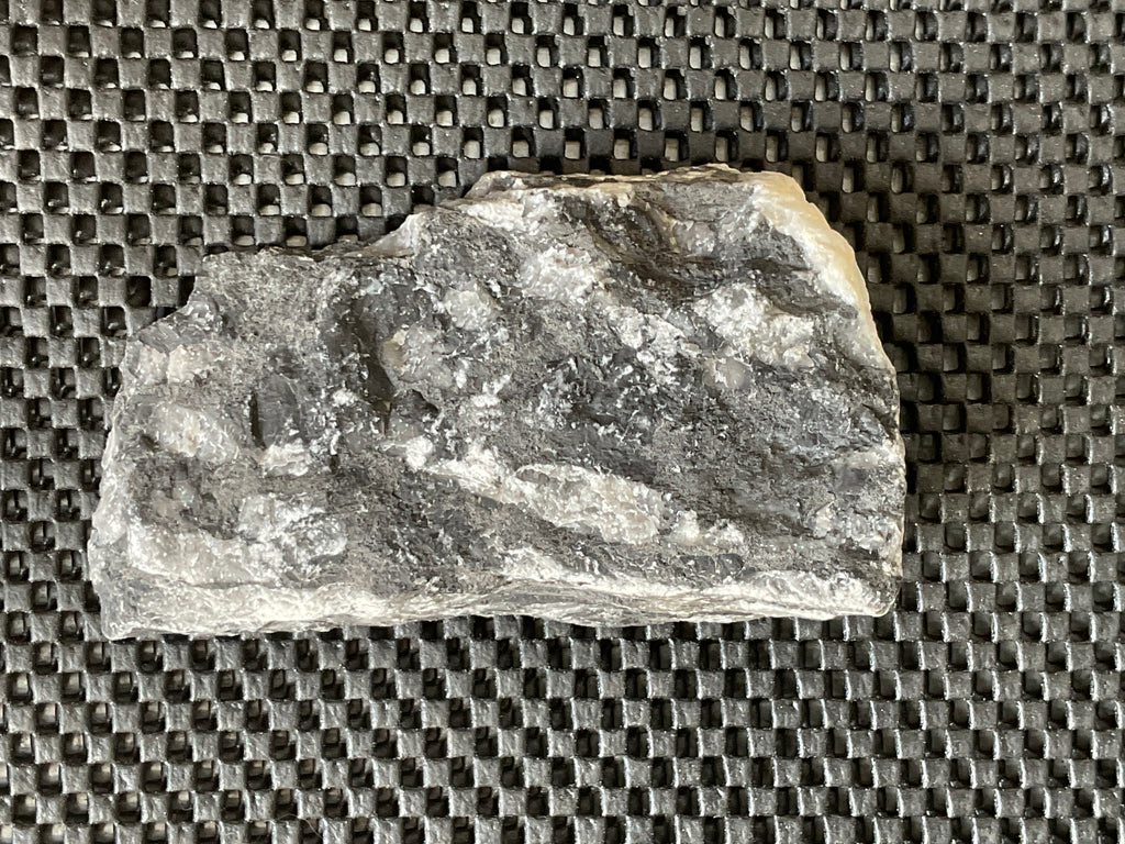 318g Tasmanian Fossilised Coral Specimen E