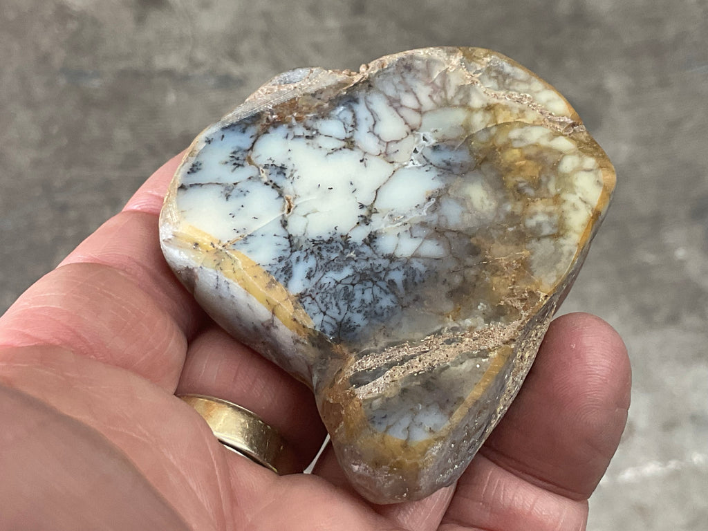 72g Australian Dendritic Common Opal Polished Piece B
