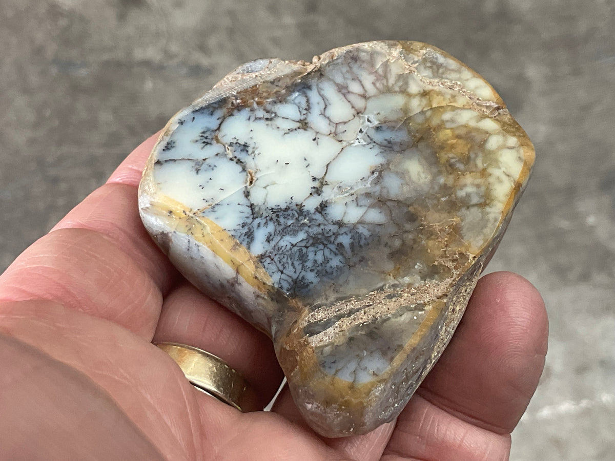 72g Australian Dendritic Common Opal Polished Piece B