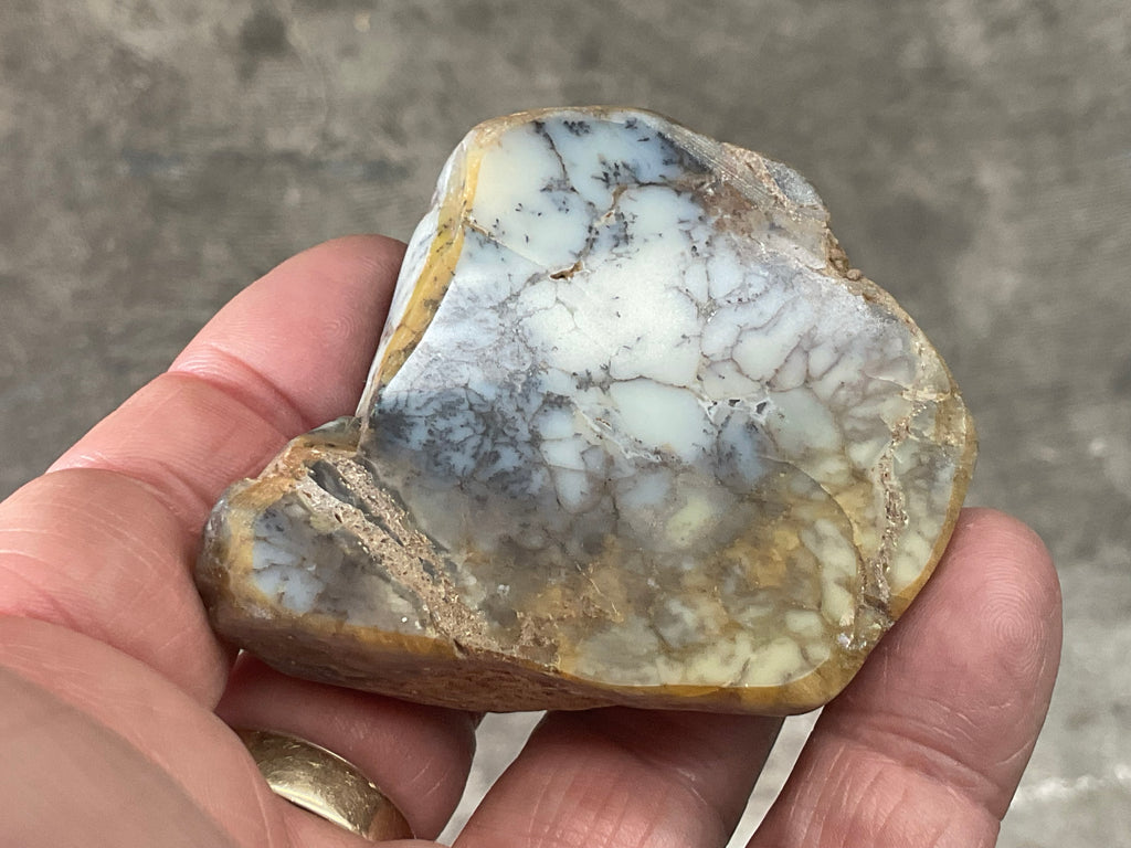 72g Australian Dendritic Common Opal Polished Piece B