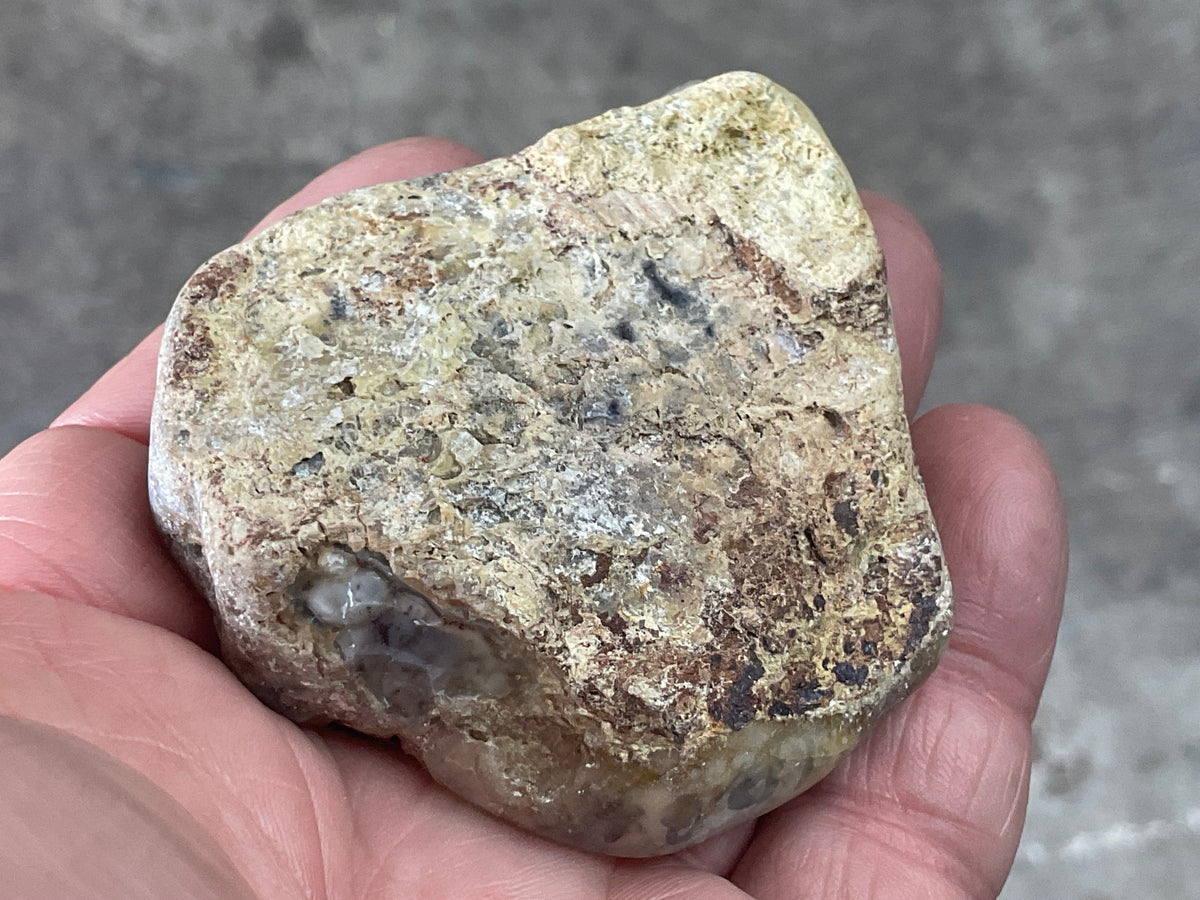 72g Australian Dendritic Common Opal Polished Piece B