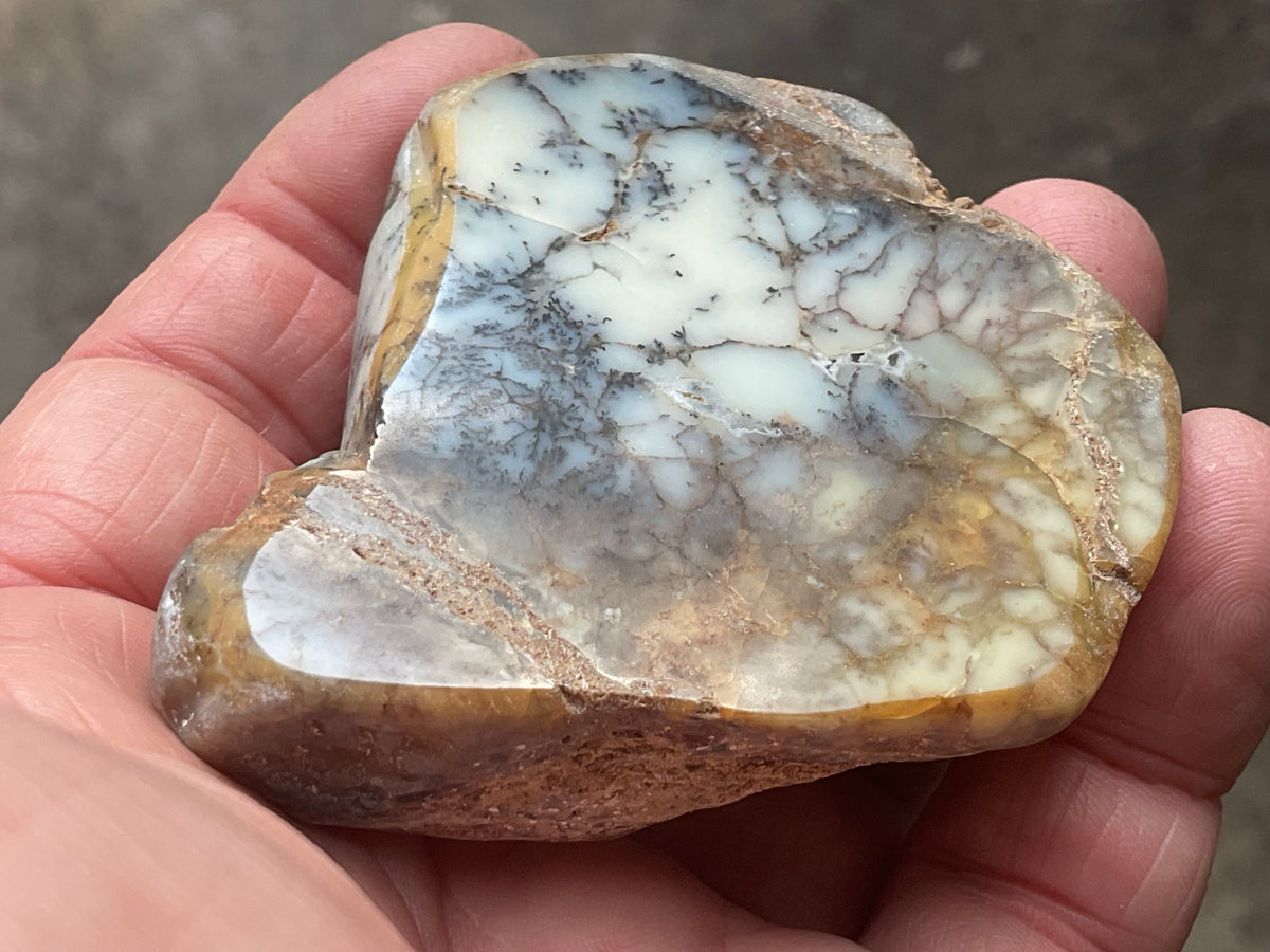 72g Australian Dendritic Common Opal Polished Piece B
