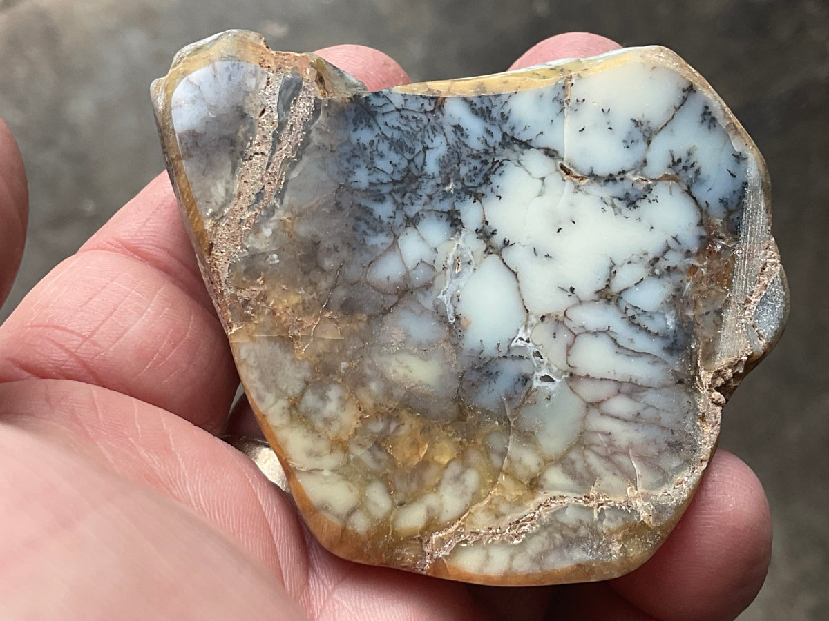 72g Australian Dendritic Common Opal Polished Piece B
