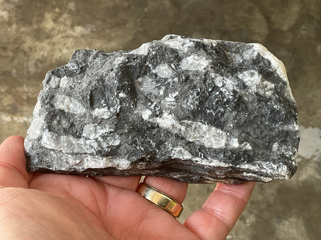 318g Tasmanian Fossilised Coral Specimen E