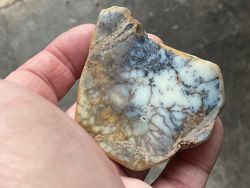72g Australian Dendritic Common Opal Polished Piece B