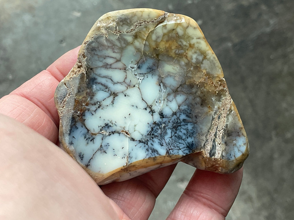 72g Australian Dendritic Common Opal Polished Piece B