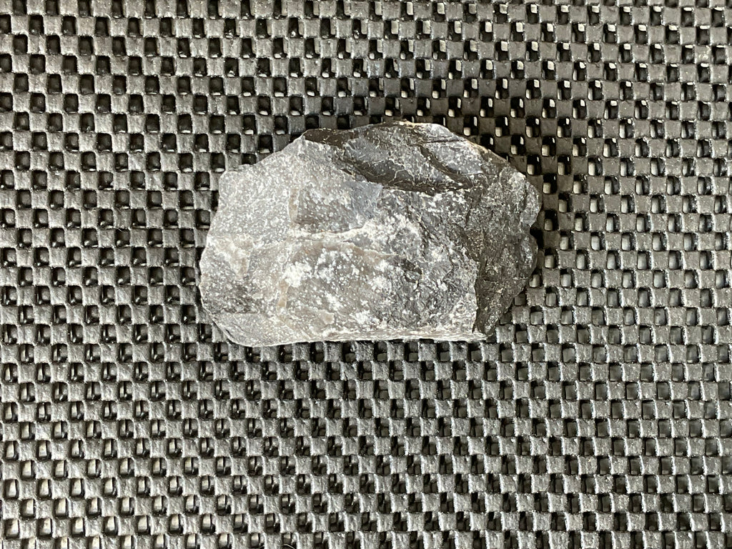 162g Tasmanian Fossilised Coral Specimen D