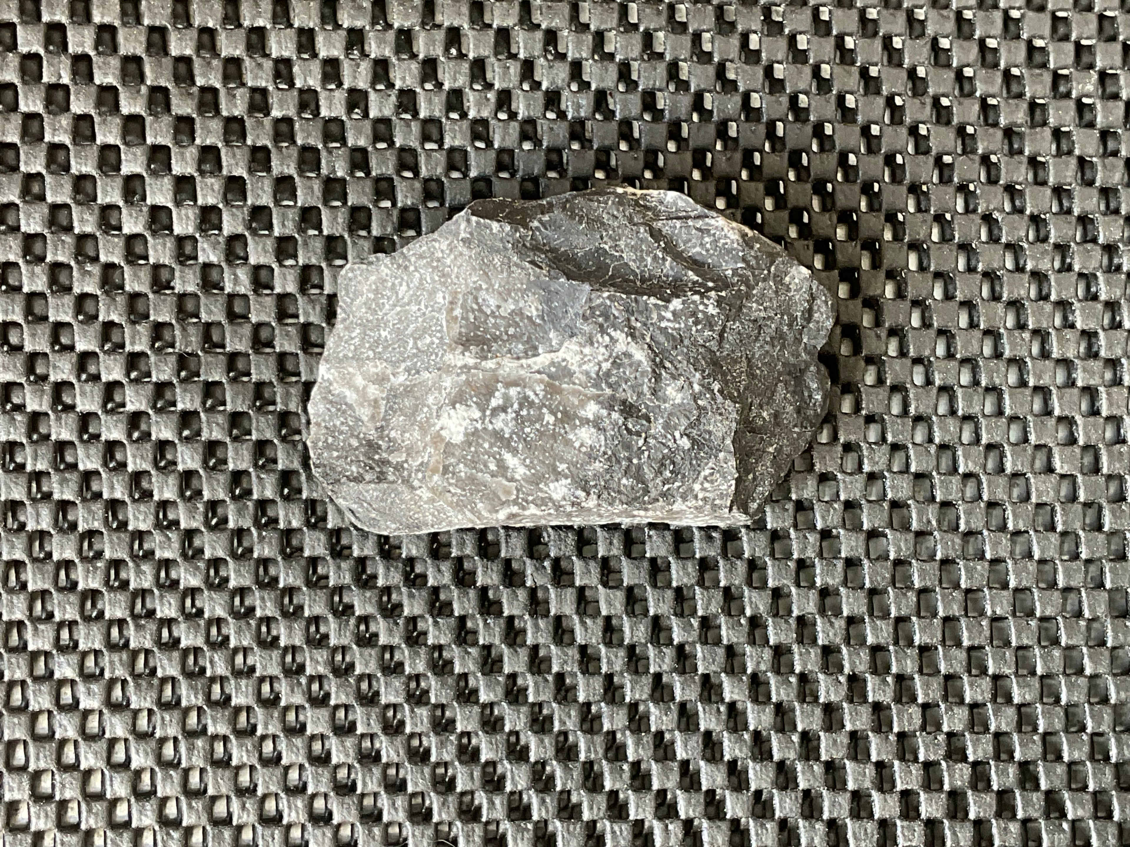 162g Tasmanian Fossilised Coral Specimen D