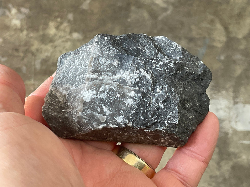162g Tasmanian Fossilised Coral Specimen D