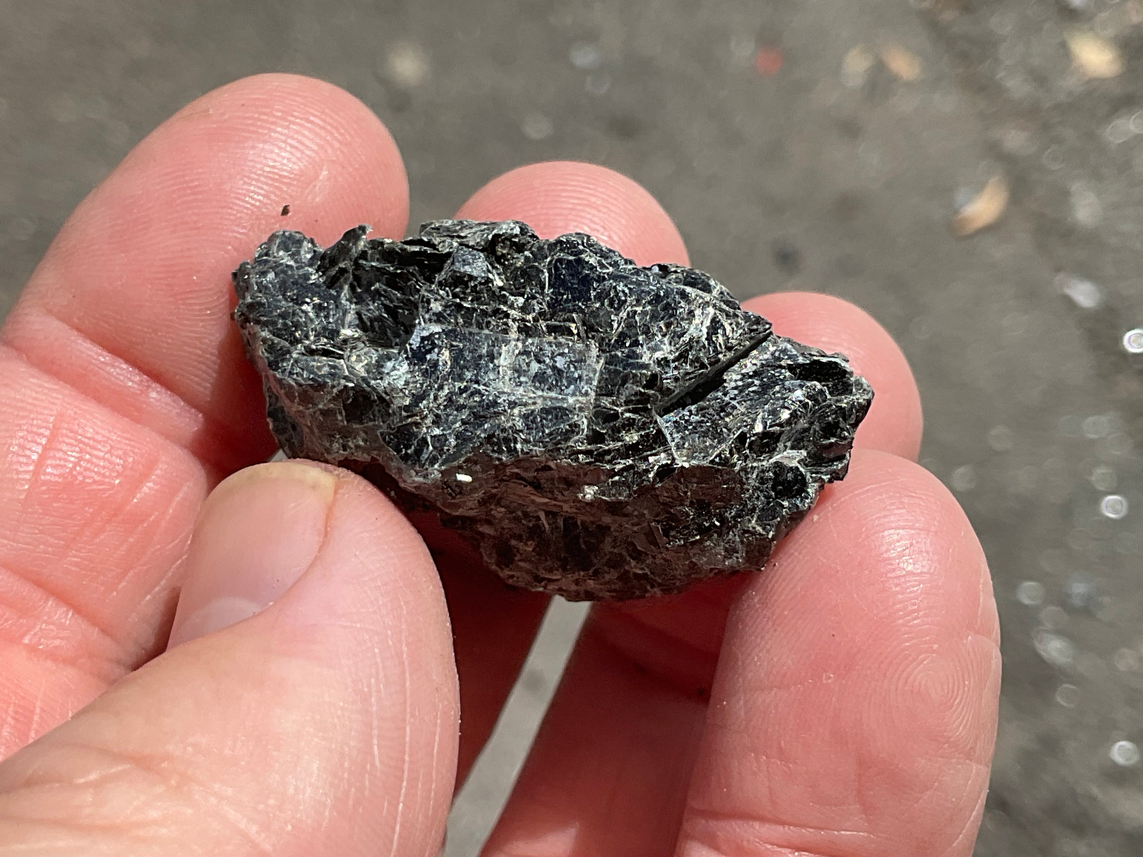 22g Black Dravite in Matrix Specimen 1A from Yinnietharra Western Australia