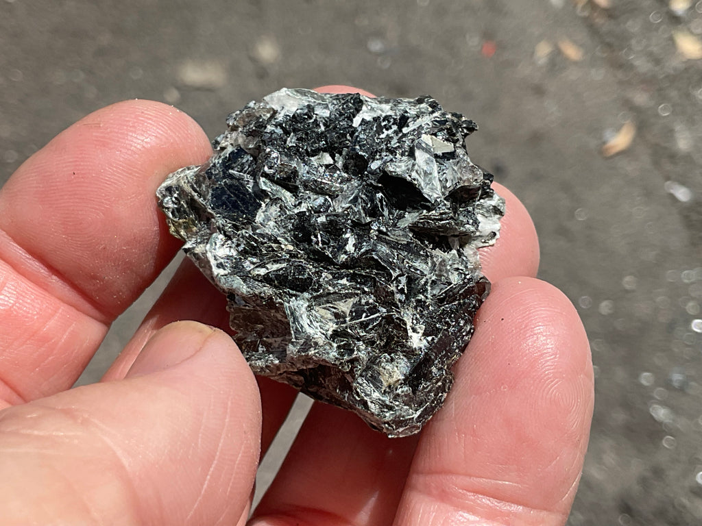 26g Black Dravite in Matrix Specimen 1B from Yinnietharra Western Australia