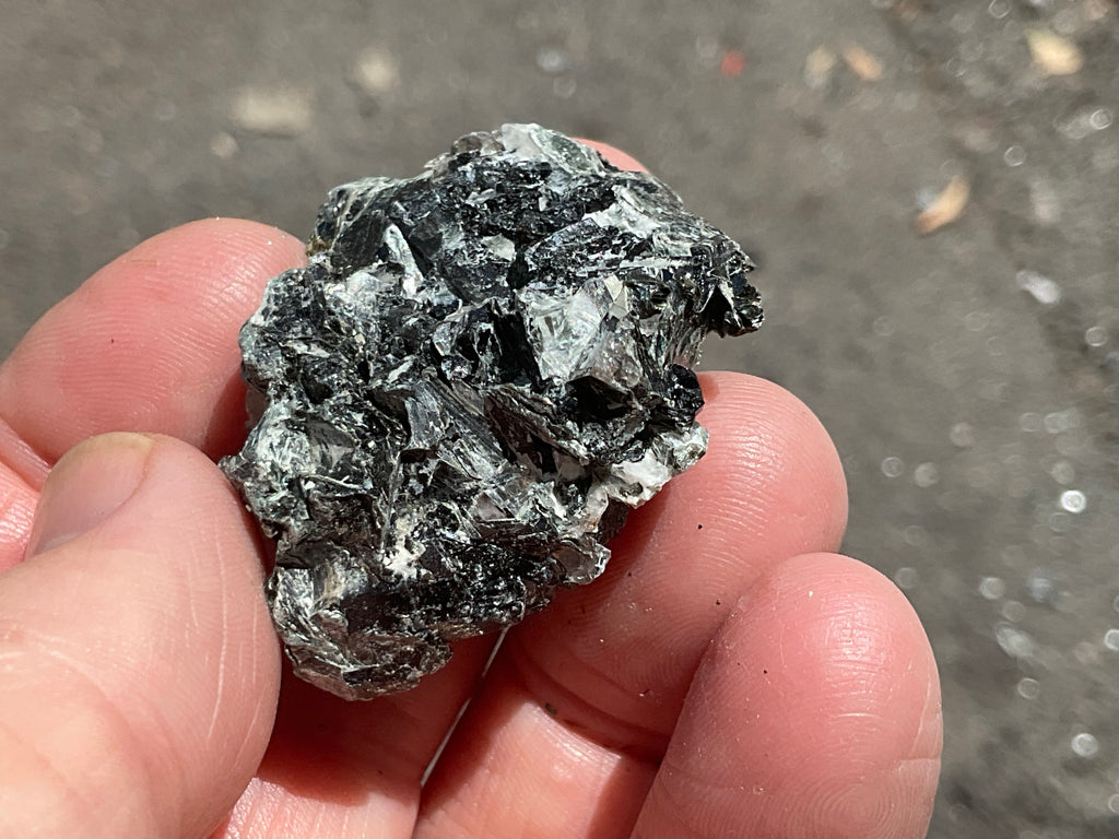 26g Black Dravite in Matrix Specimen 1B from Yinnietharra Western Australia
