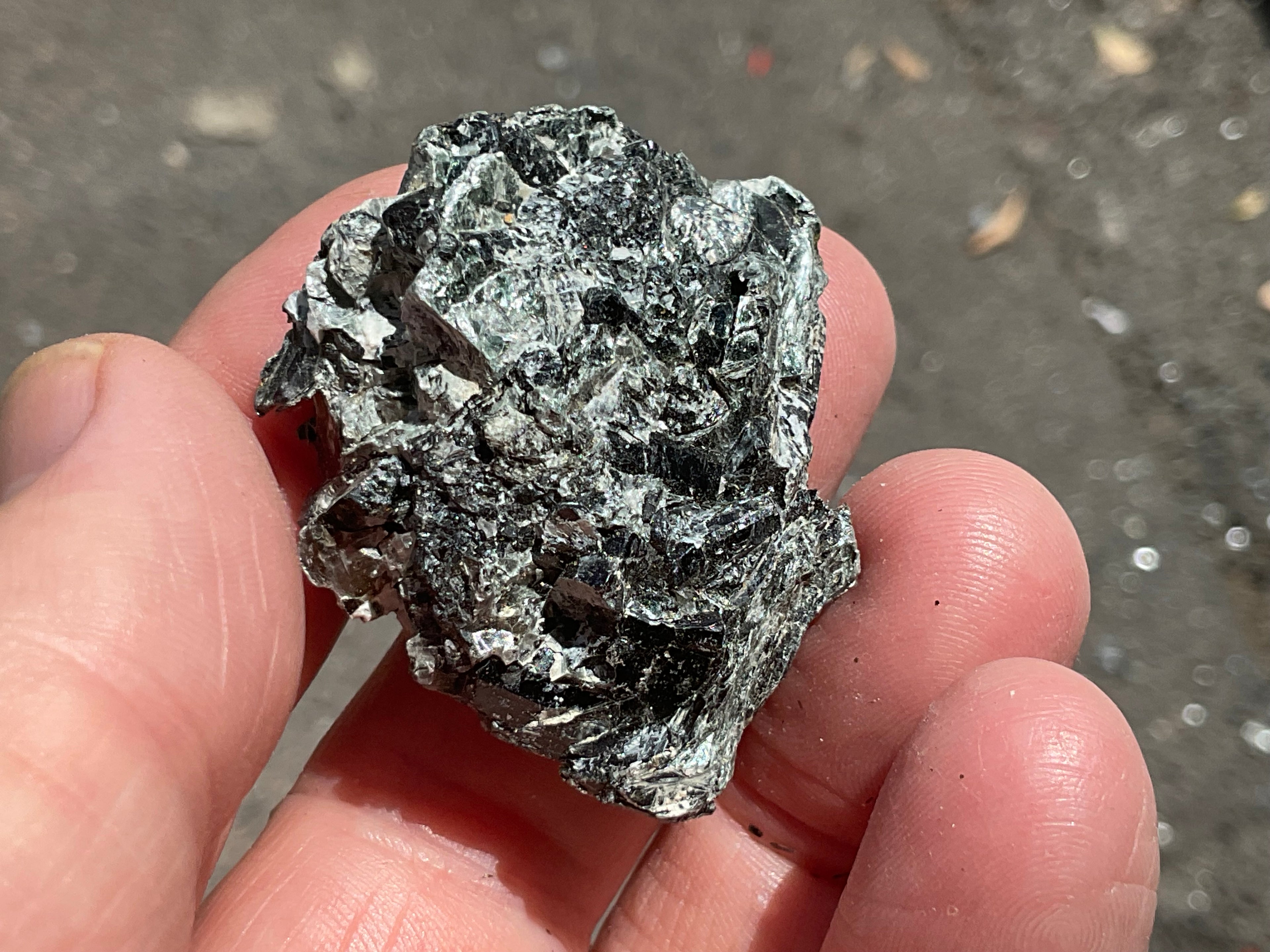 26g Black Dravite in Matrix Specimen 1B from Yinnietharra Western Australia