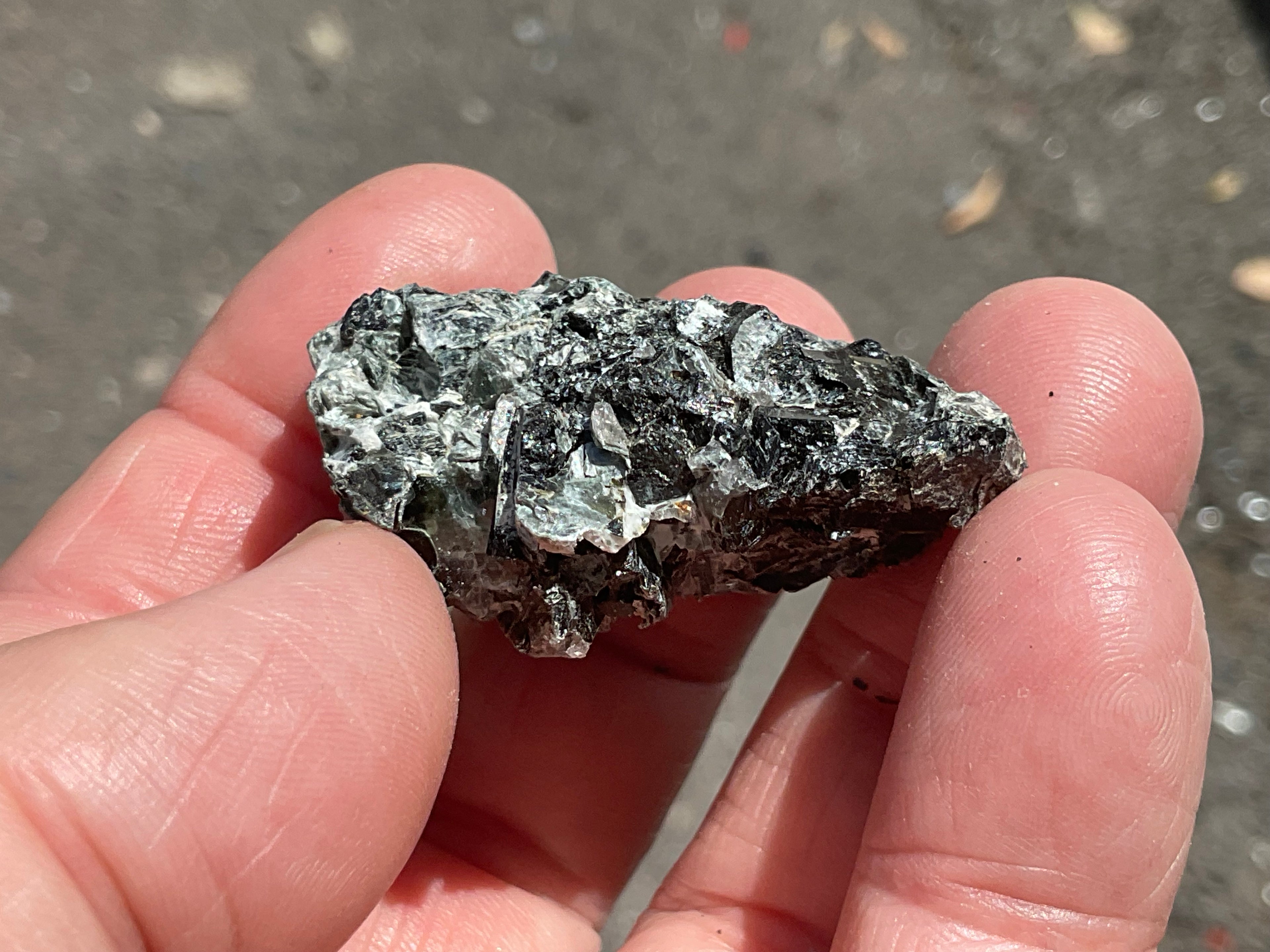 26g Black Dravite in Matrix Specimen 1B from Yinnietharra Western Australia