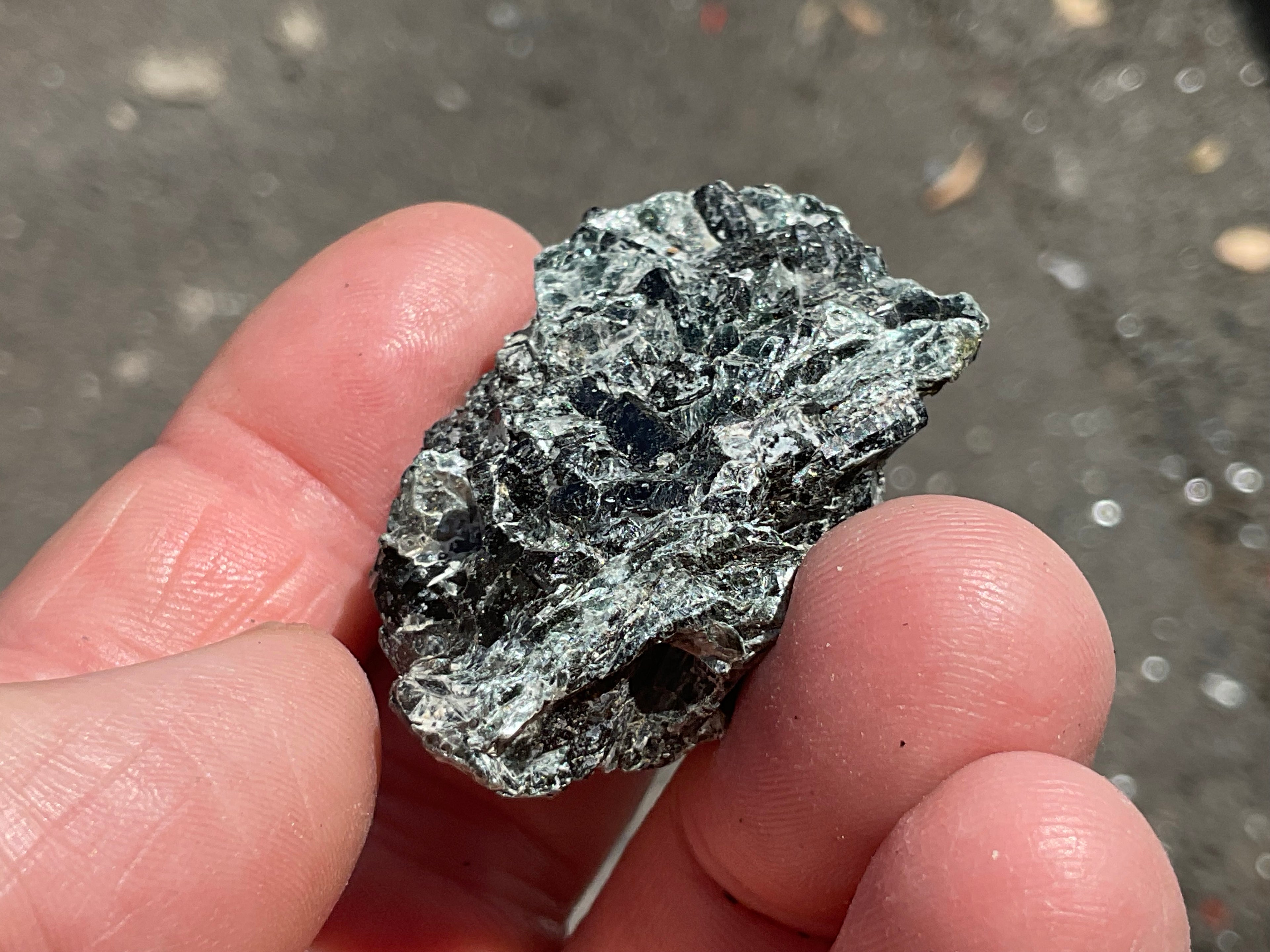 26g Black Dravite in Matrix Specimen 1B from Yinnietharra Western Australia