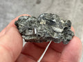 26g Black Dravite in Matrix Specimen 1C from Yinnietharra Western Australia