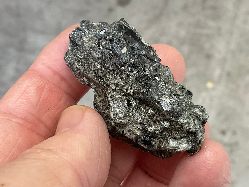 26g Black Dravite in Matrix Specimen 1C from Yinnietharra Western Australia