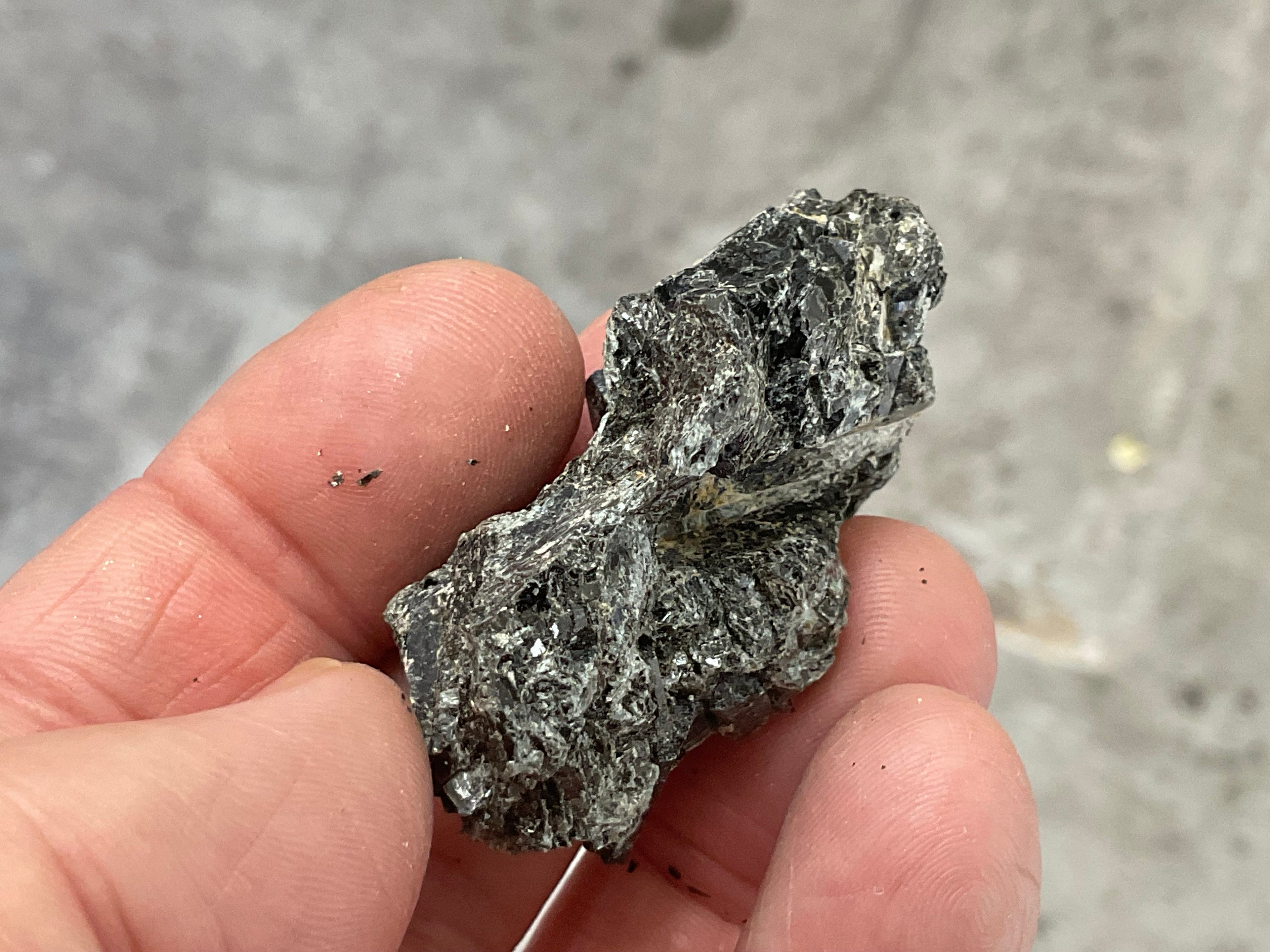26g Black Dravite in Matrix Specimen 1C from Yinnietharra Western Australia