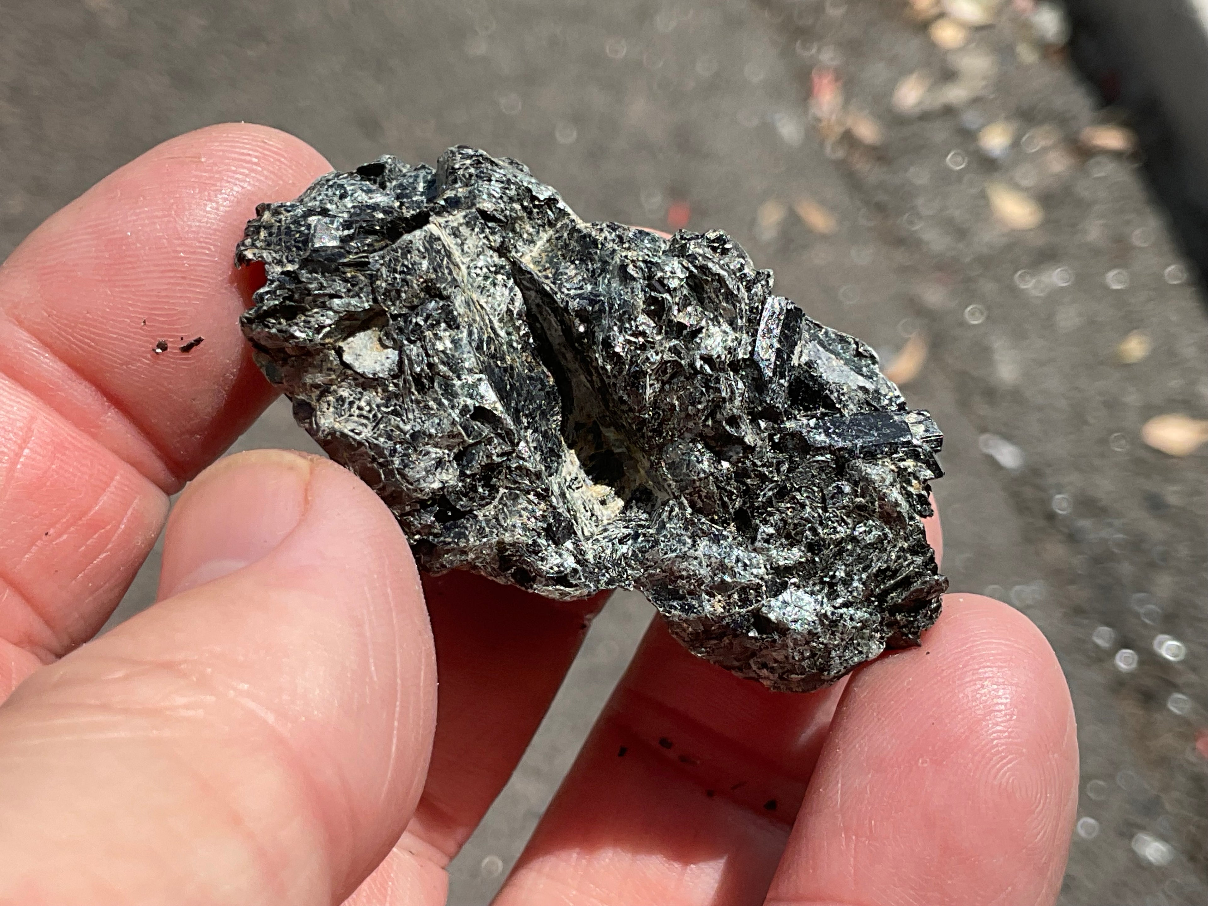 26g Black Dravite in Matrix Specimen 1C from Yinnietharra Western Australia