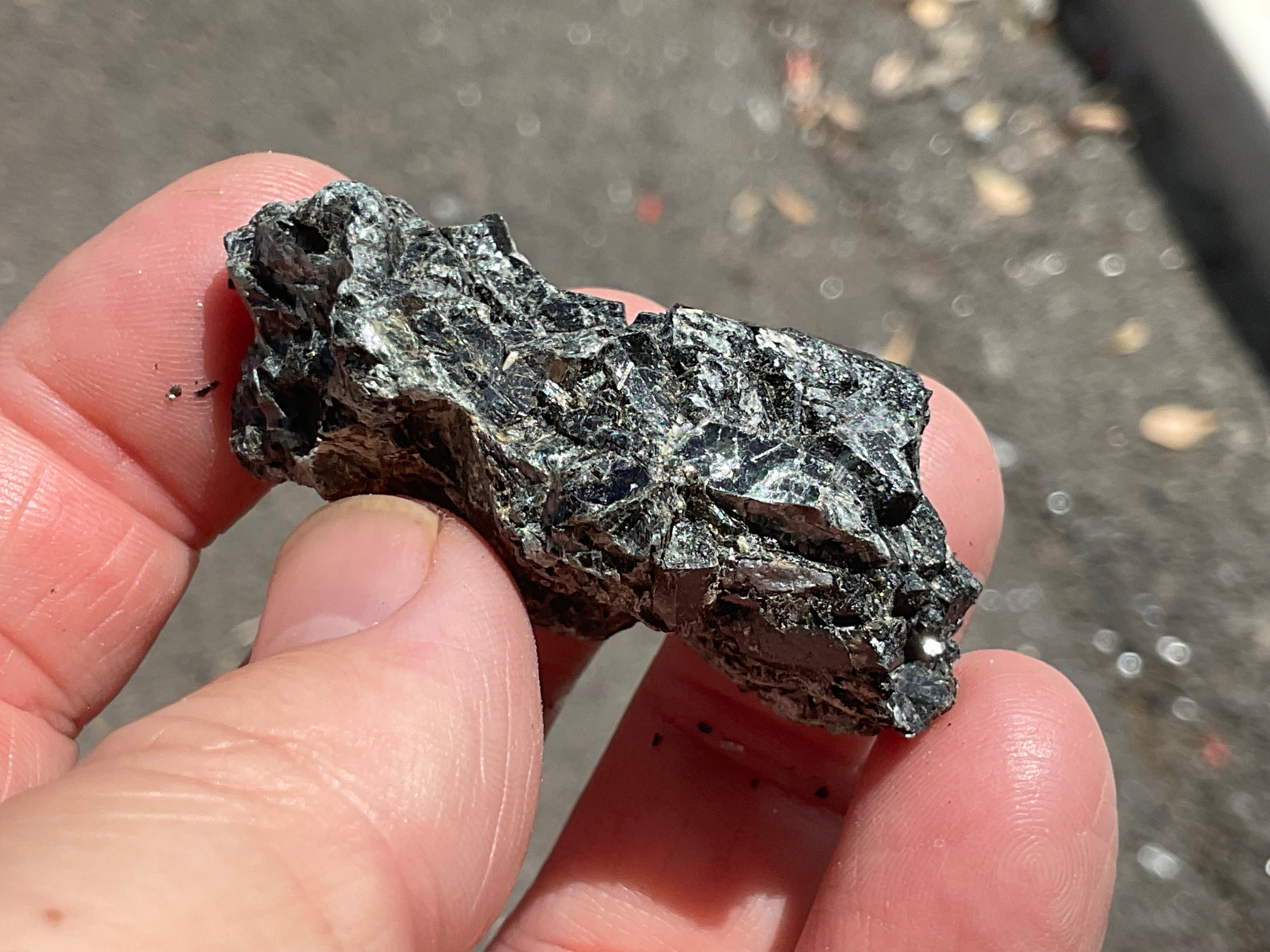26g Black Dravite in Matrix Specimen 1C from Yinnietharra Western Australia