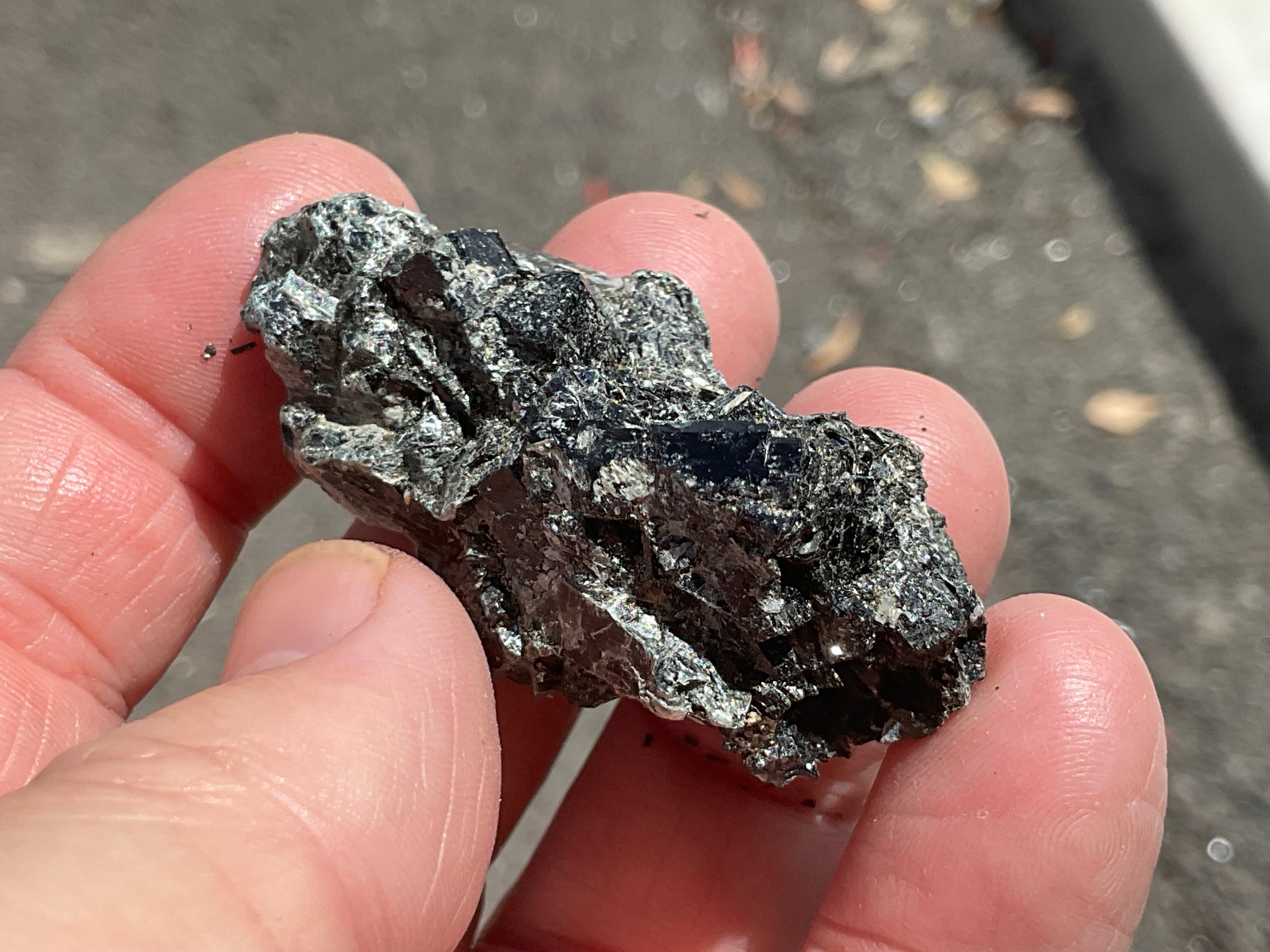 26g Black Dravite in Matrix Specimen 1C from Yinnietharra Western Australia
