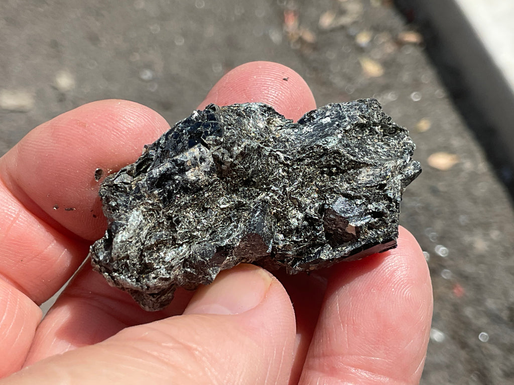 26g Black Dravite in Matrix Specimen 1C from Yinnietharra Western Australia