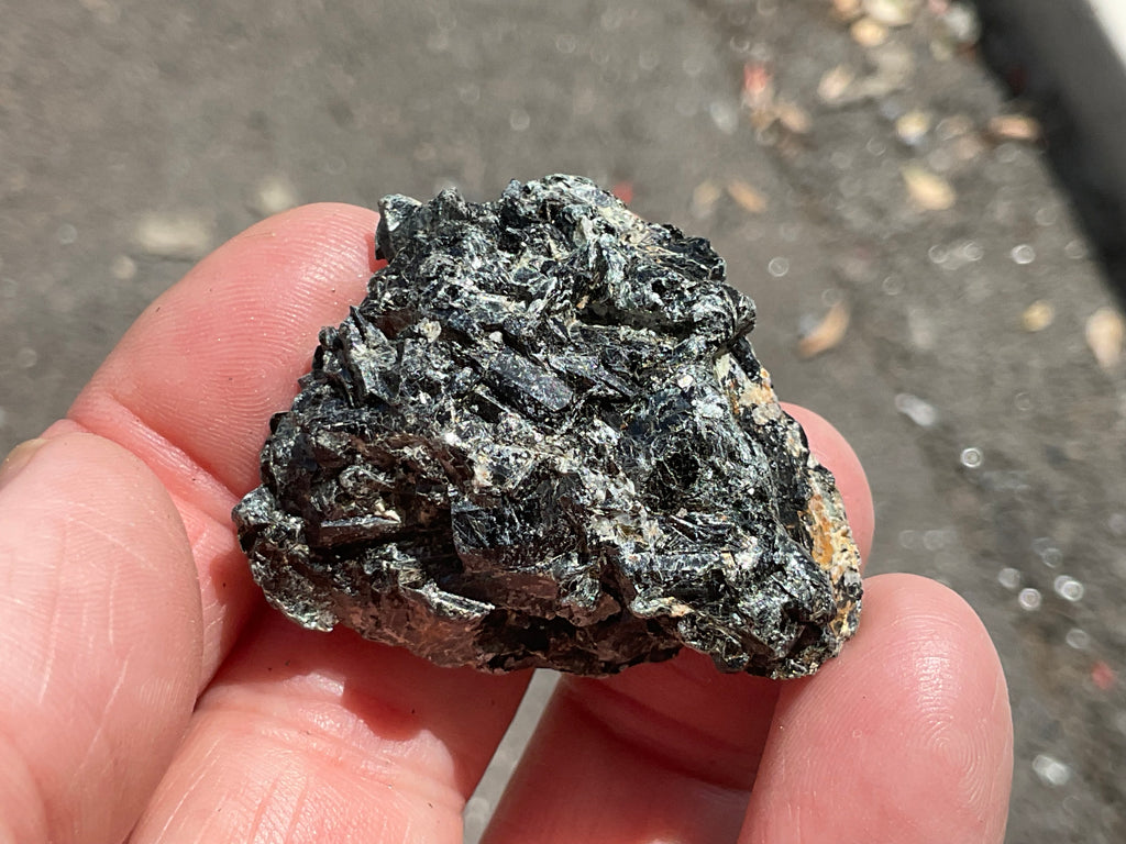 26g Black Dravite in Matrix Specimen 2B from Yinnietharra Western Australia