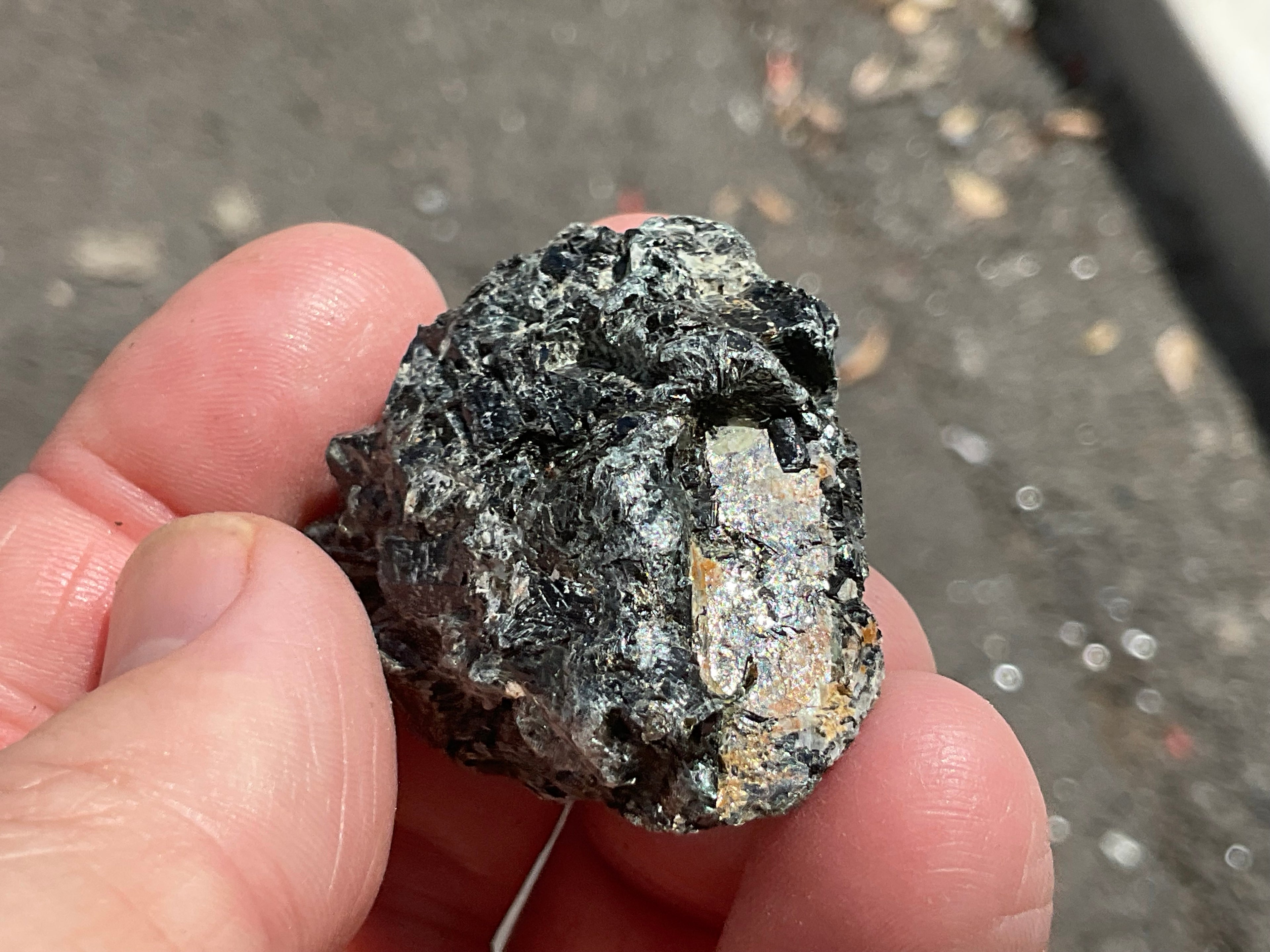 26g Black Dravite in Matrix Specimen 2B from Yinnietharra Western Australia