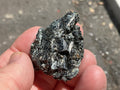 26g Black Dravite in Matrix Specimen 2B from Yinnietharra Western Australia