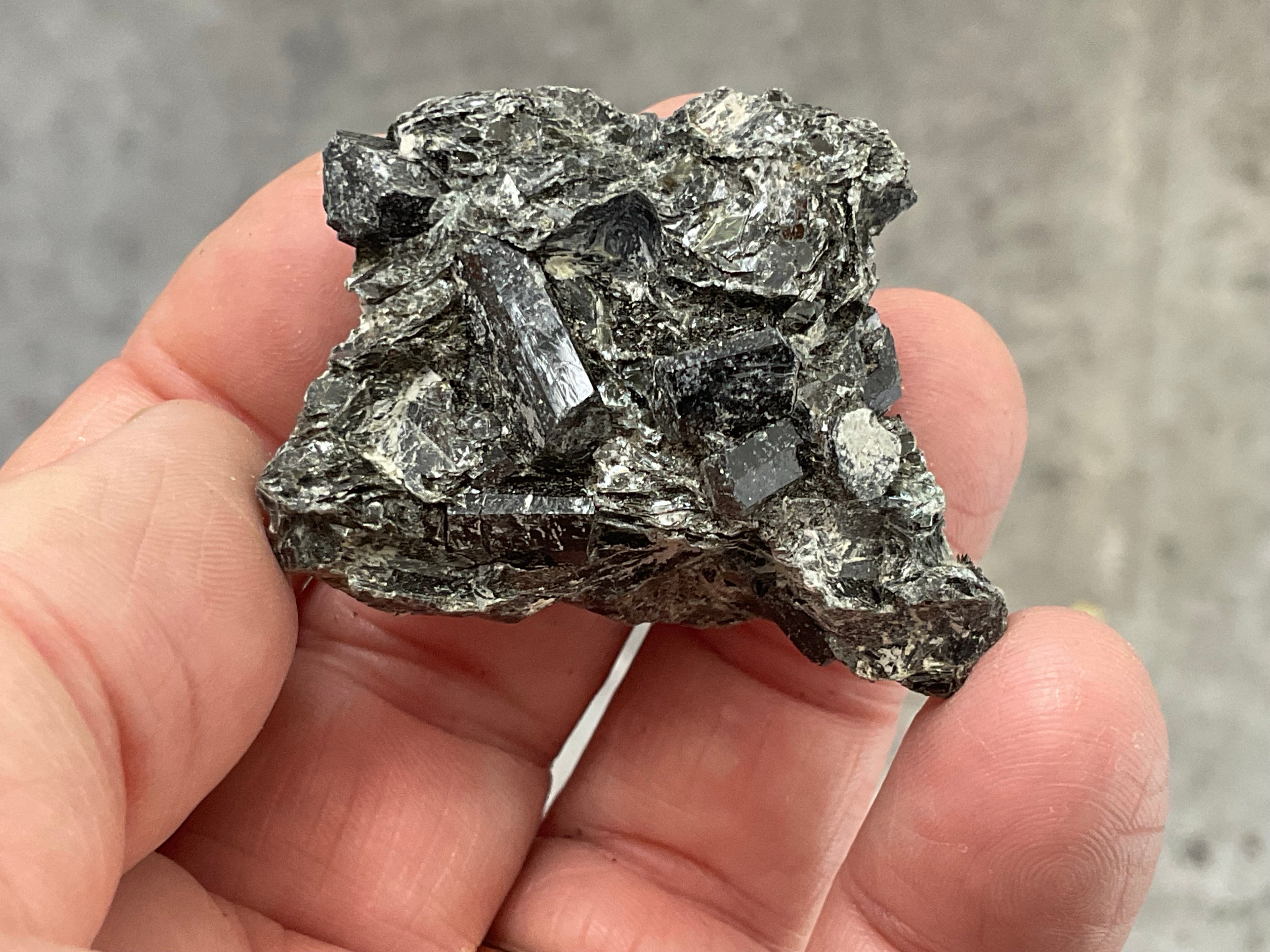 36g Black Dravite in Matrix Specimen 2C from Yinnietharra Western Australia