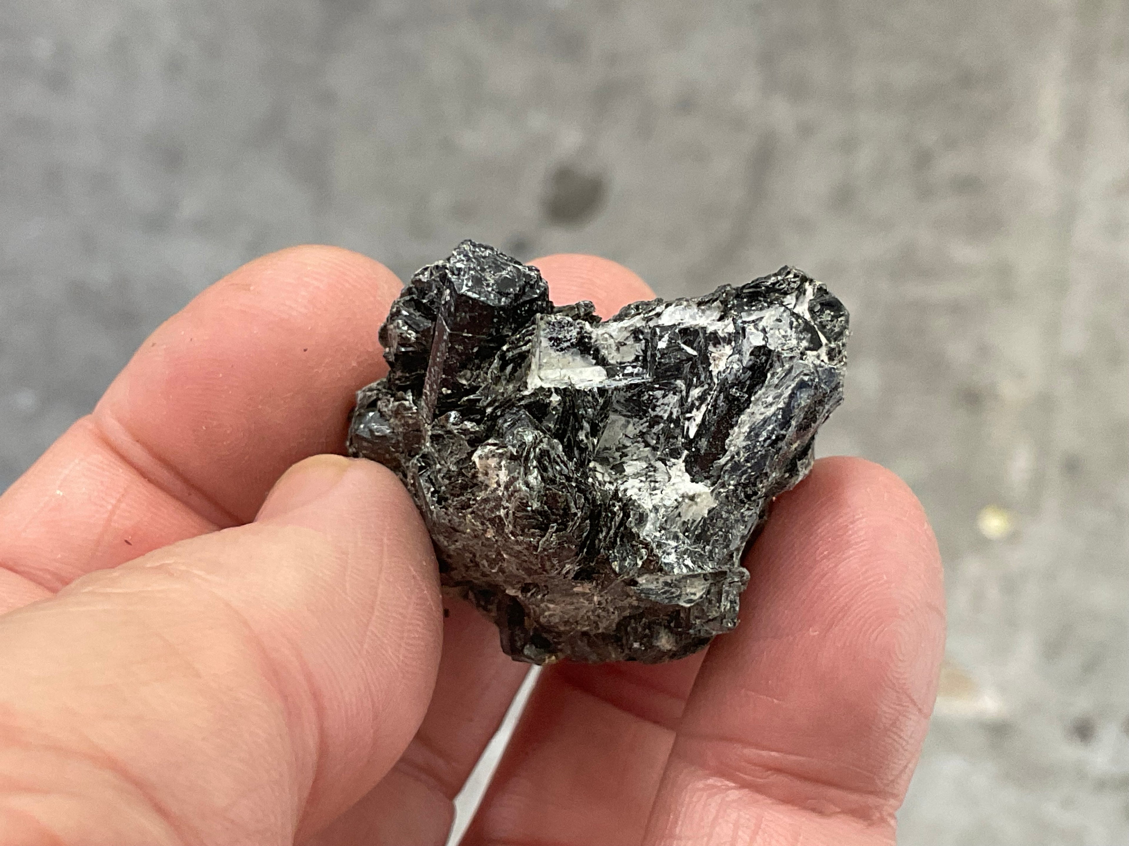 36g Black Dravite in Matrix Specimen 2C from Yinnietharra Western Australia