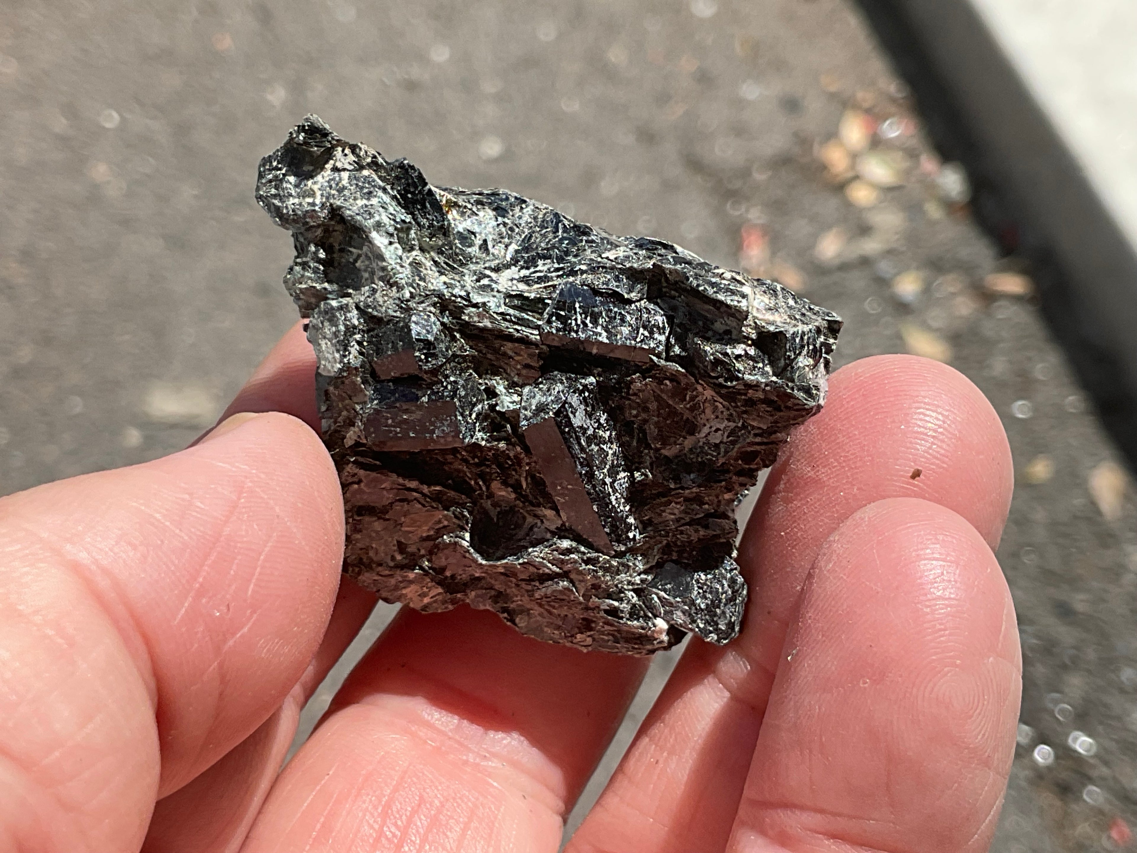36g Black Dravite in Matrix Specimen 2C from Yinnietharra Western Australia