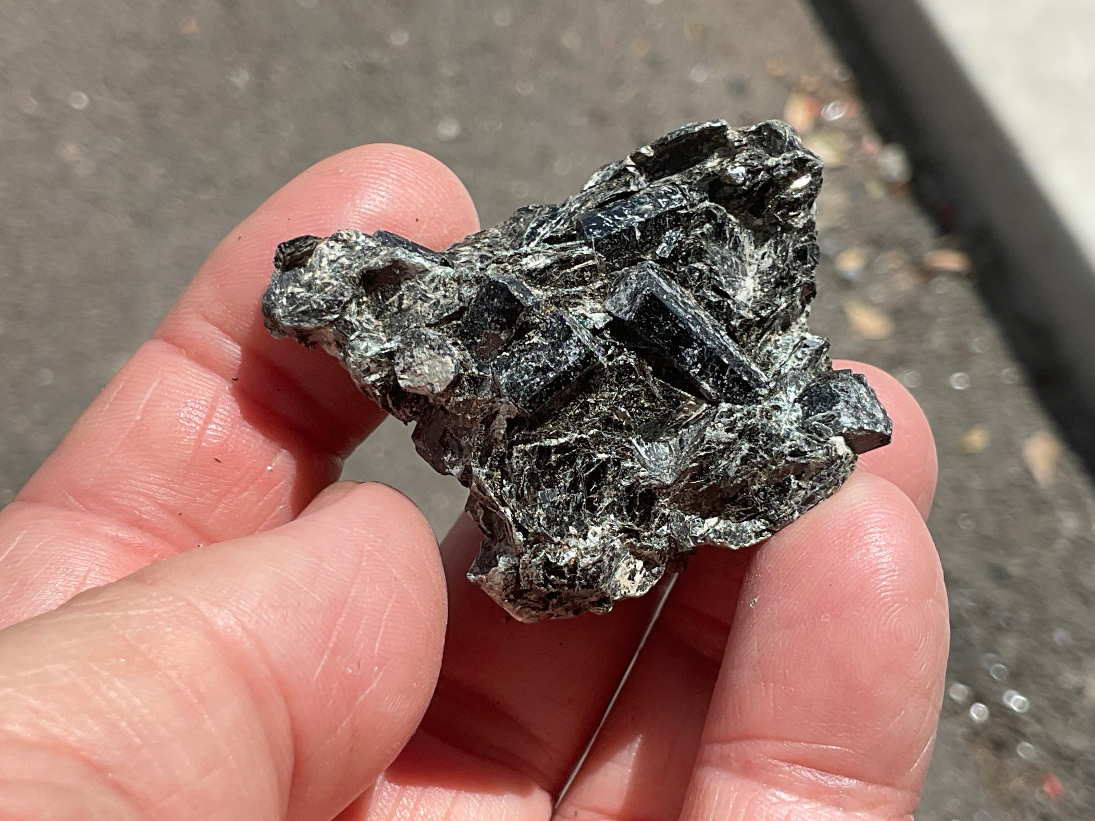 36g Black Dravite in Matrix Specimen 2C from Yinnietharra Western Australia
