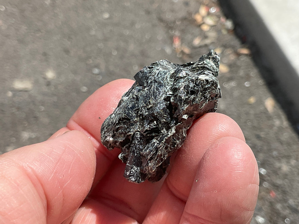 36g Black Dravite in Matrix Specimen 2C from Yinnietharra Western Australia
