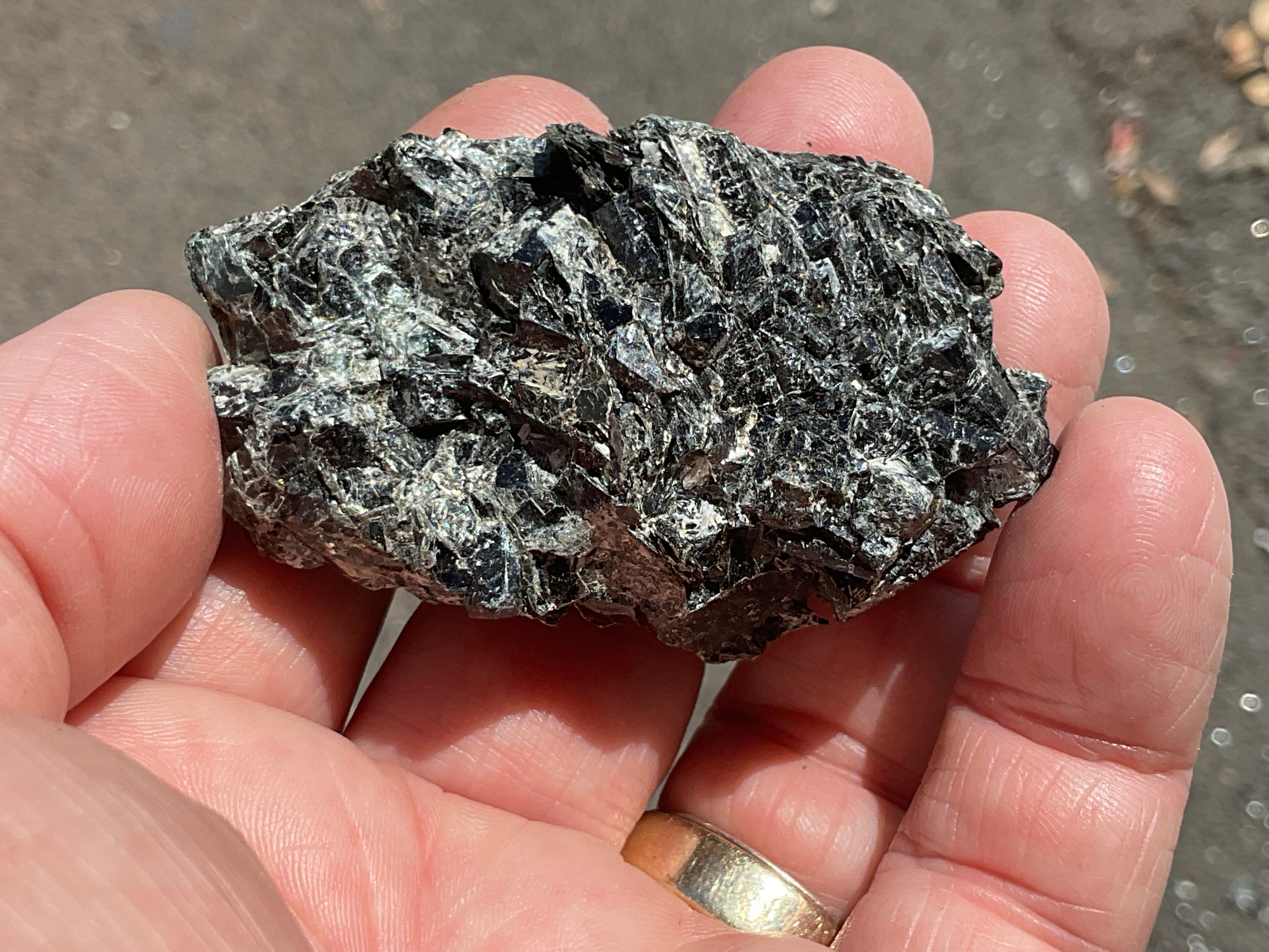 58g Black Dravite in Matrix Specimen 3A from Yinnietharra Western Australia