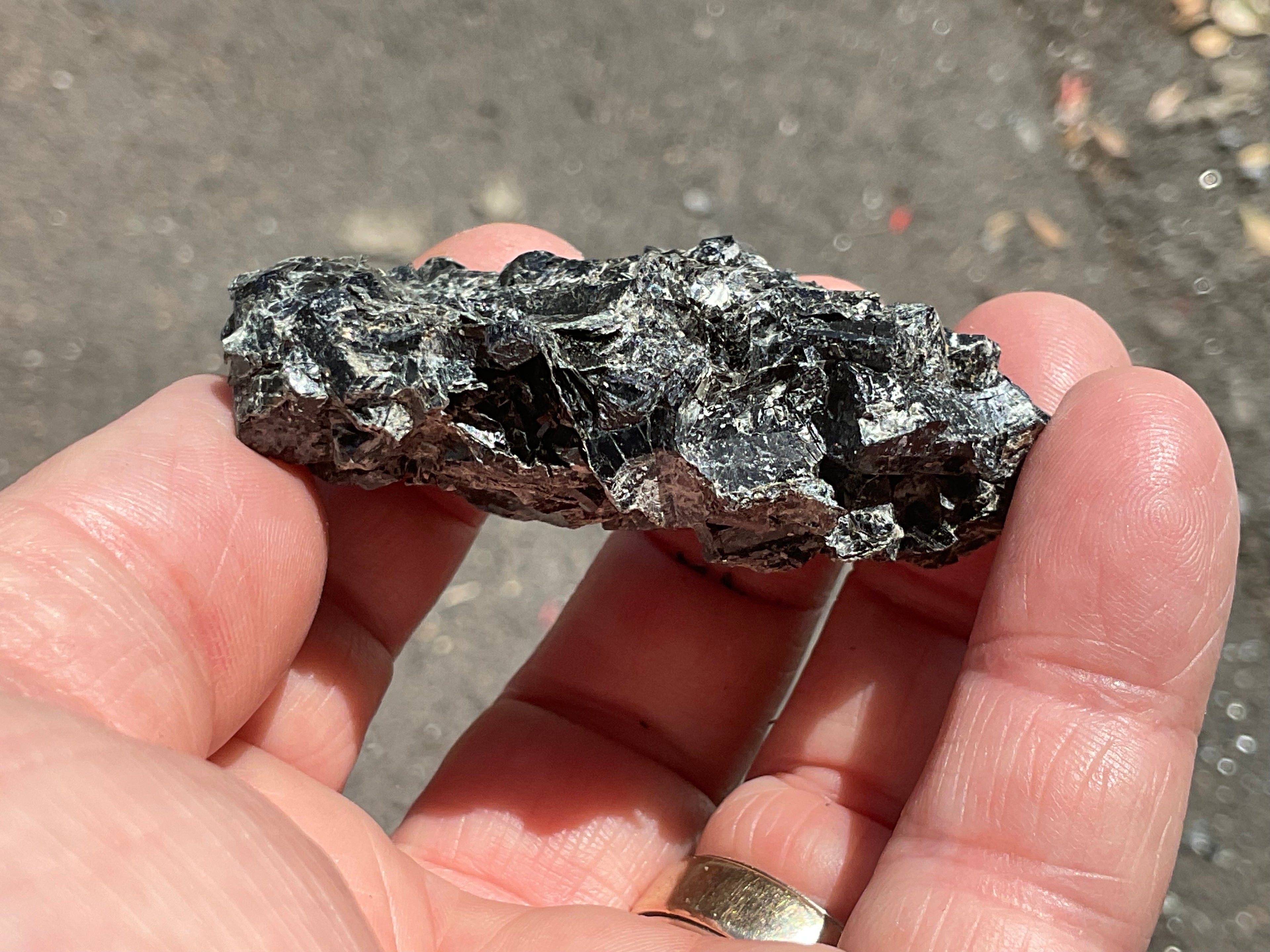 58g Black Dravite in Matrix Specimen 3A from Yinnietharra Western Australia
