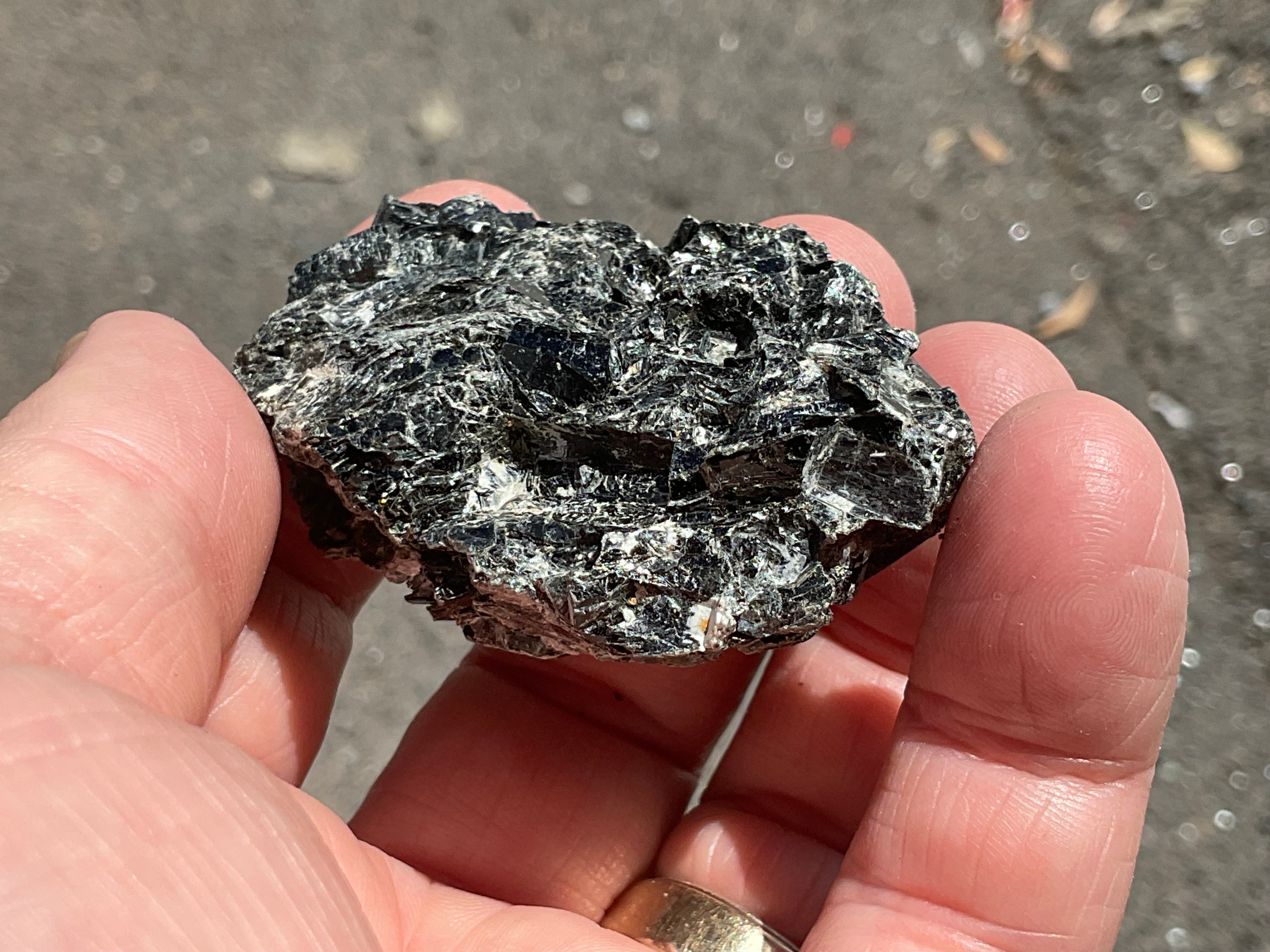 58g Black Dravite in Matrix Specimen 3A from Yinnietharra Western Australia
