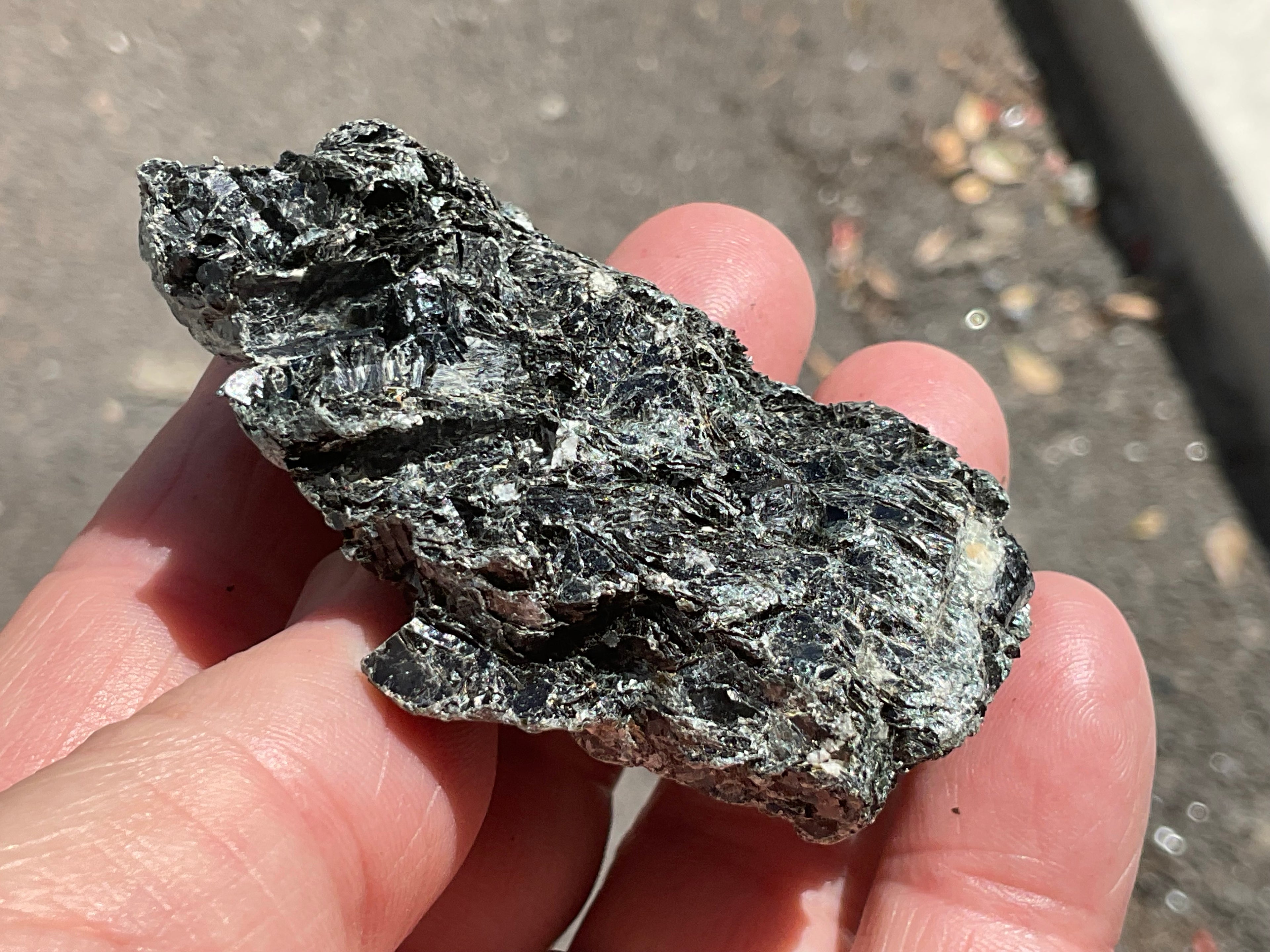70g Black Dravite Specimen 3B from Yinnietharra Western Australia