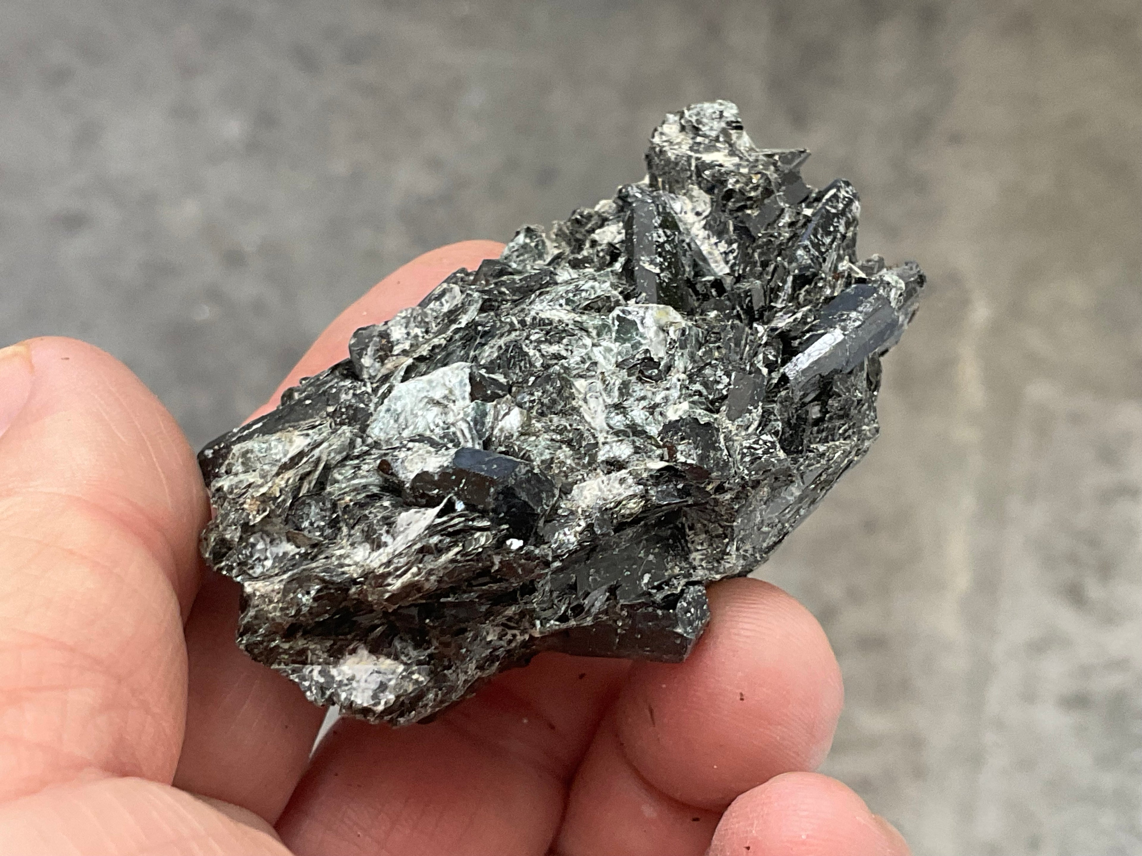 82g Black Dravite in Matrix Specimen 4A from Yinnietharra Western Australia