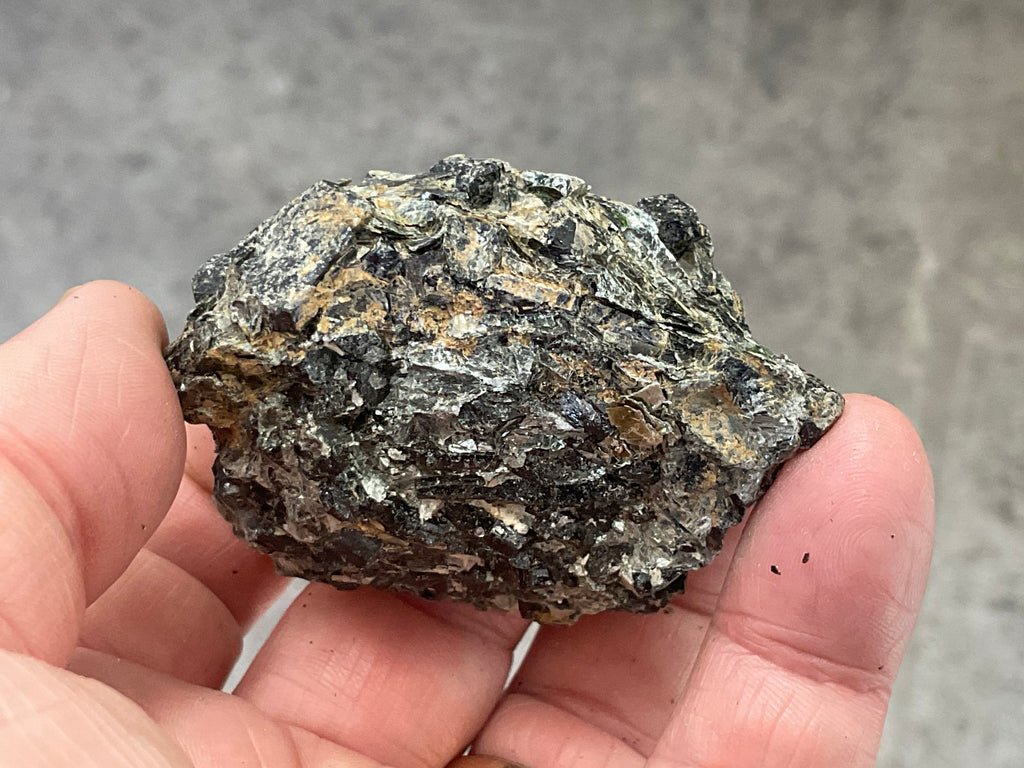 90g Black Dravite in Matrix Specimen 4B from Yinnietharra Western Australia