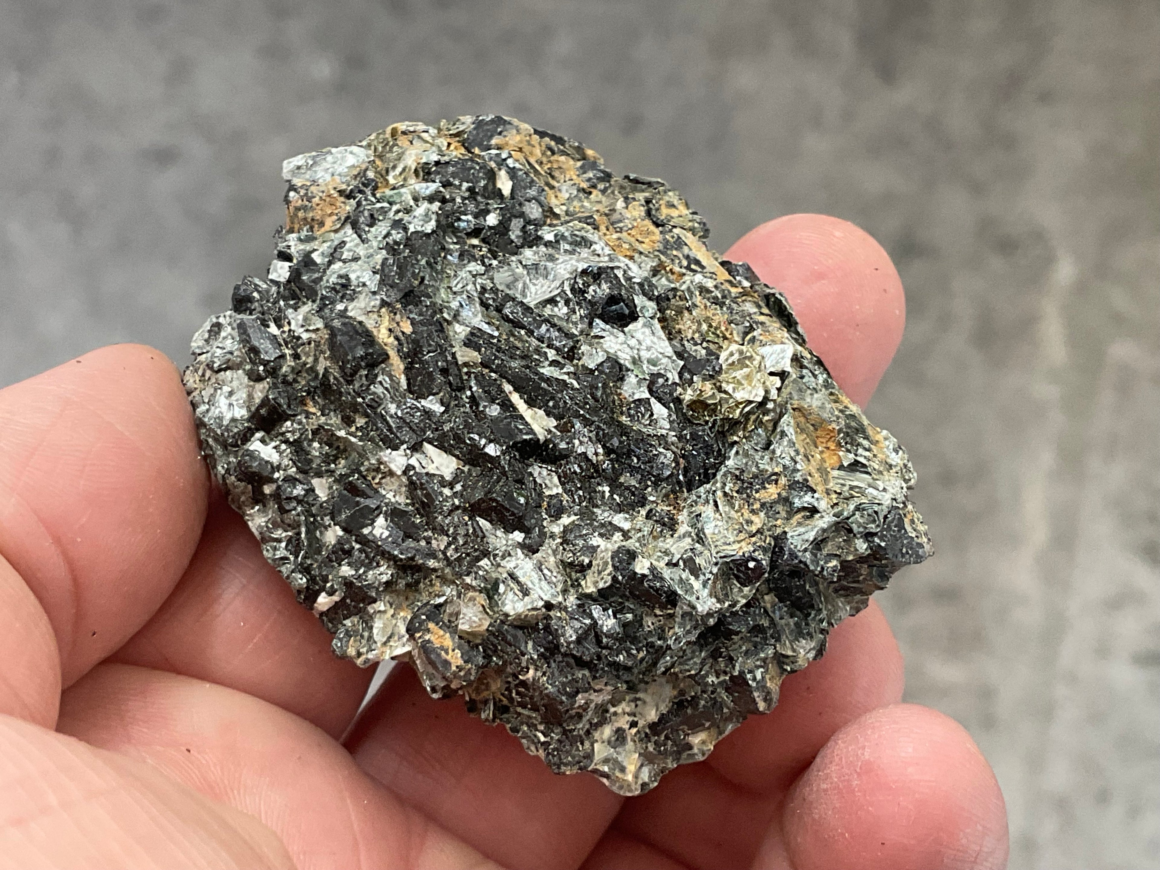 90g Black Dravite in Matrix Specimen 4B from Yinnietharra Western Australia
