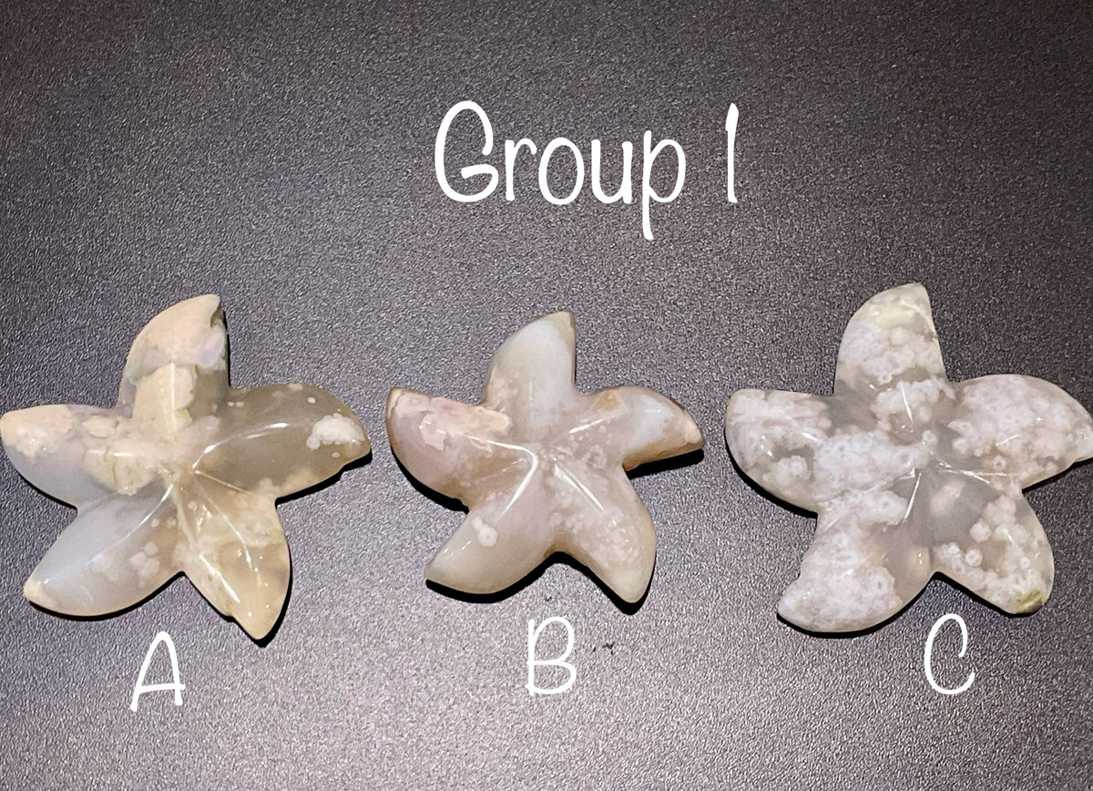 52g Flower Agate Starfish Palmstone 1A