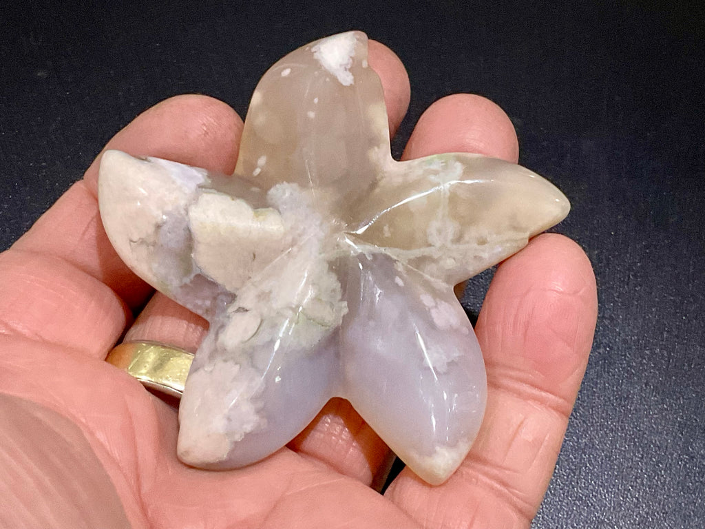52g Flower Agate Starfish Palmstone 1A
