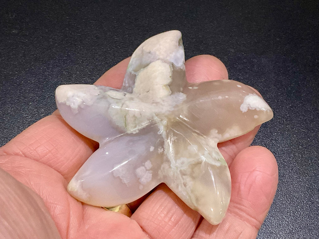 52g Flower Agate Starfish Palmstone 1A