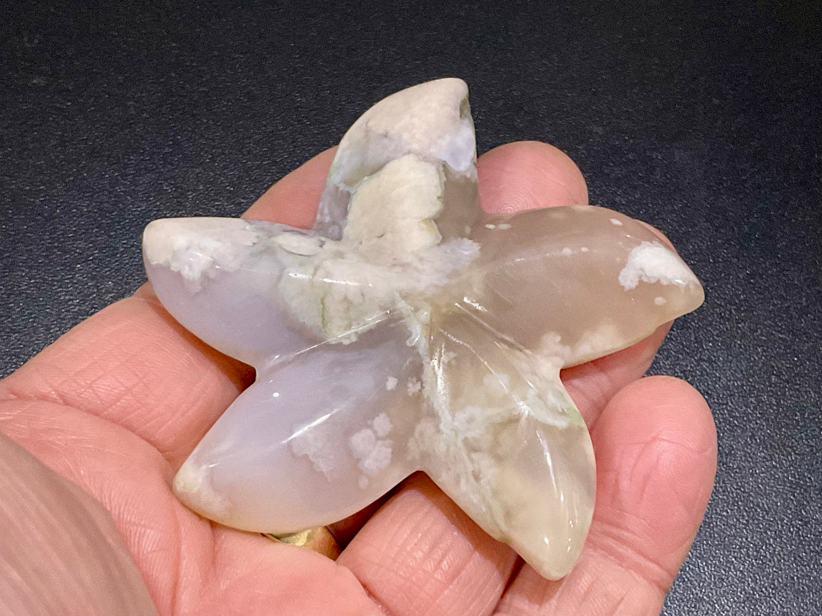 52g Flower Agate Starfish Palmstone 1A